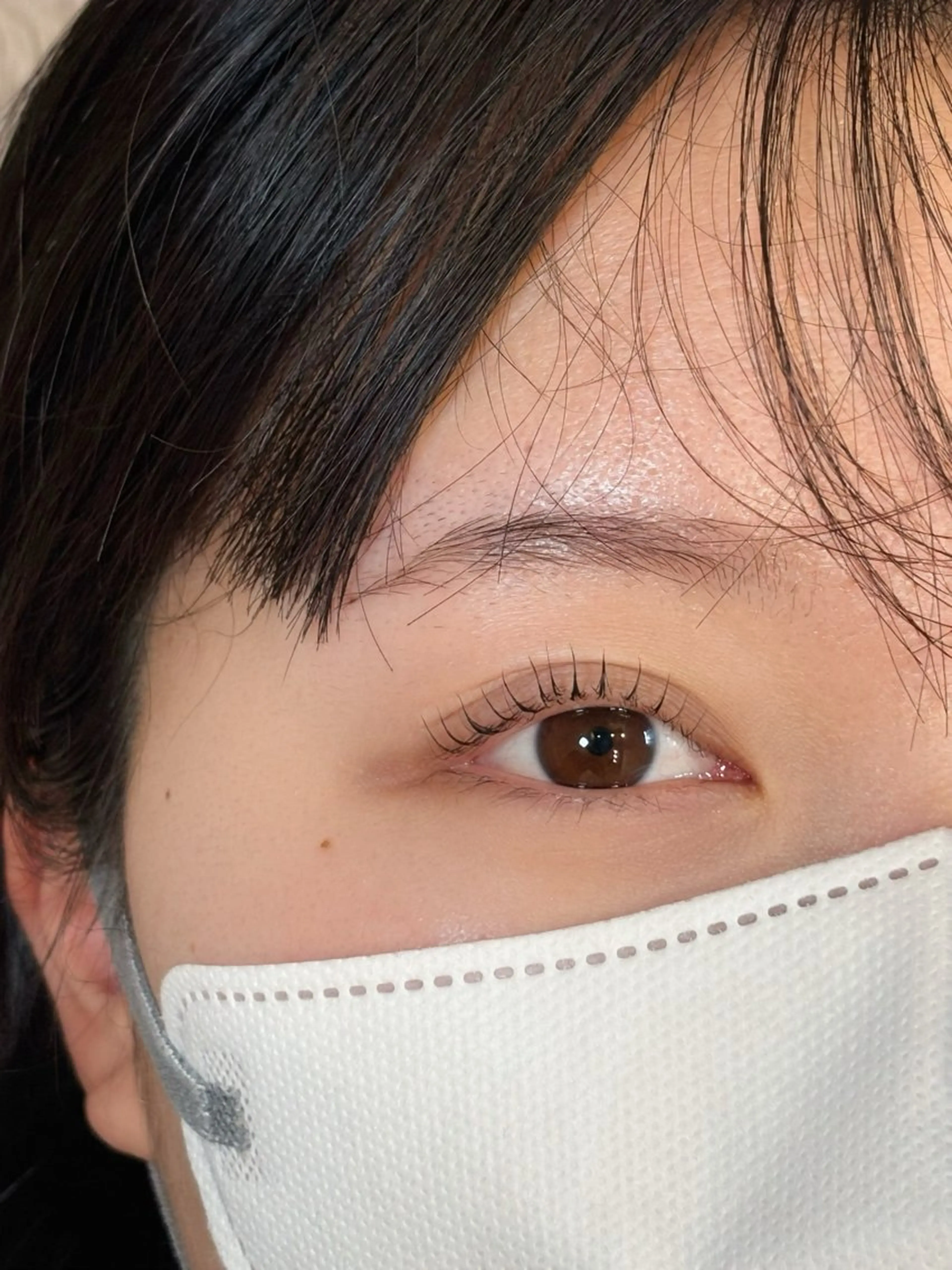 マツエク・マツパ ふじたに |  まつ毛・眉毛のマツエク・マツパデザイン