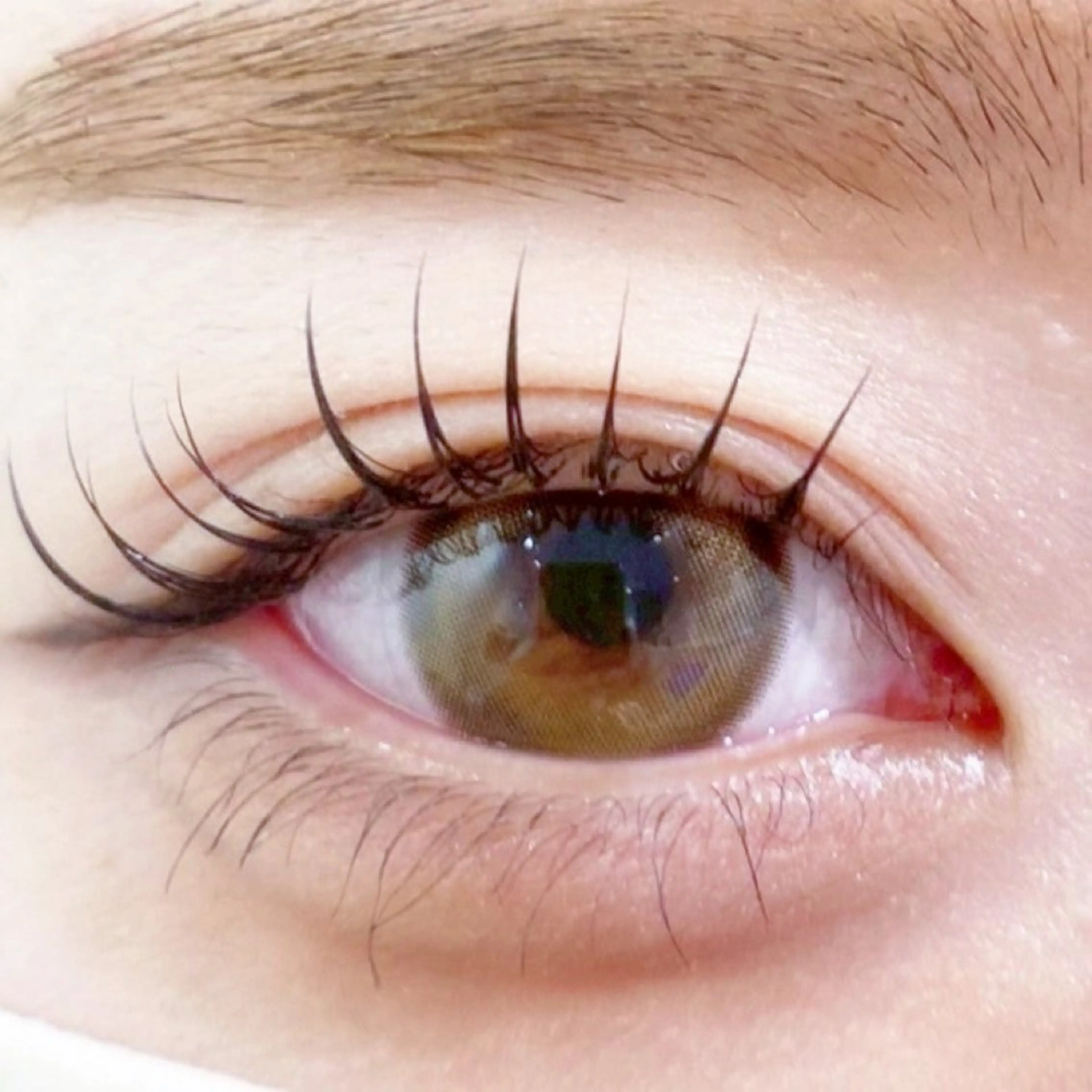 マツエク・マツパ 🍒Fuka🐻 無料モデル募集中💎の眉毛・アイブロウイメージ