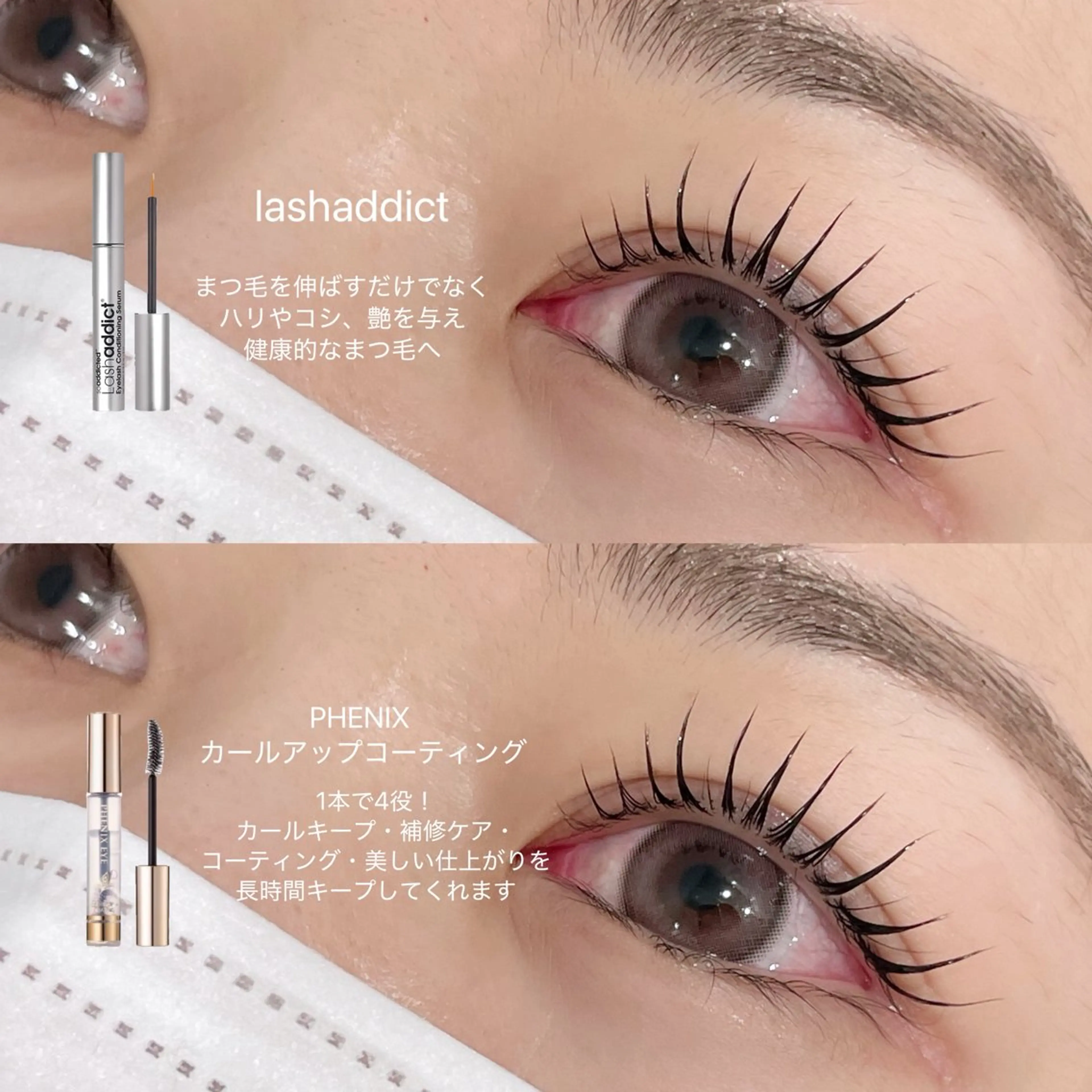 【クリスマスキャンペーン🎁🩶】パリジェンヌor ラッシュリフト➕ラッシュアディクト➕フェニックス(コーティング剤)の写真