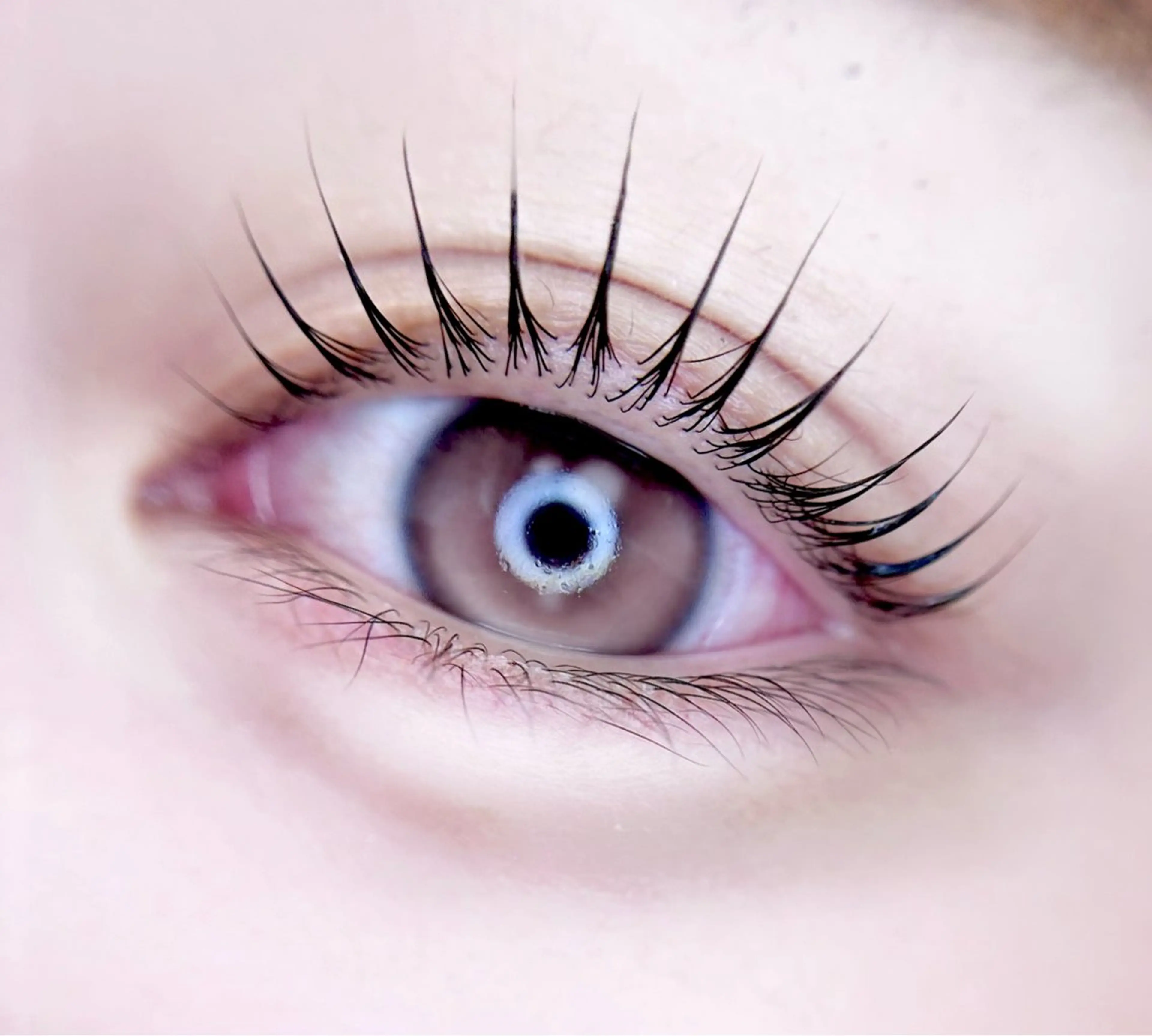 マツエク・マツパ eyelist. mizuki🐈‍⬛のマツエク・マツパデザイン