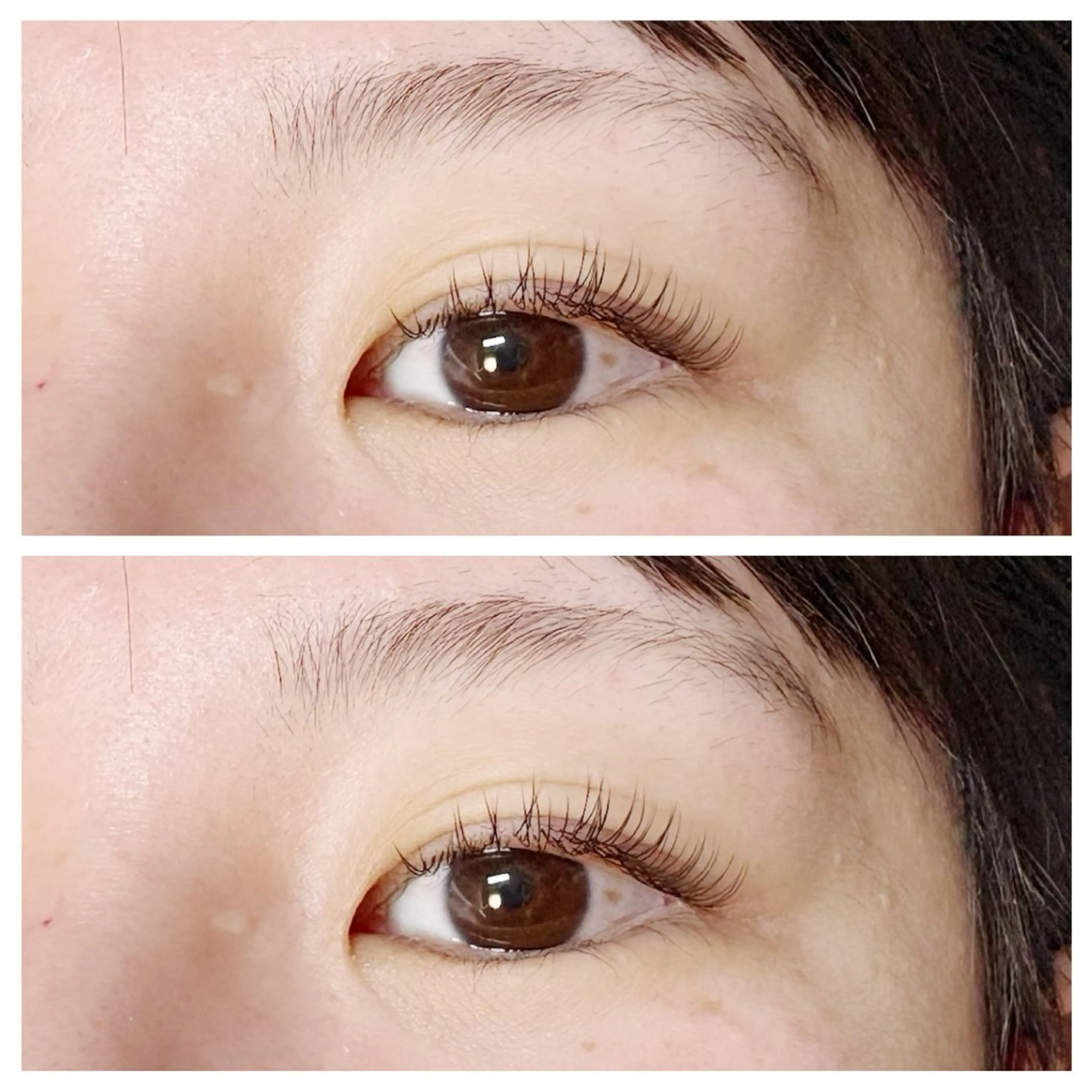 マツエク・マツパ plume eyelashのマツエク・マツパデザイン