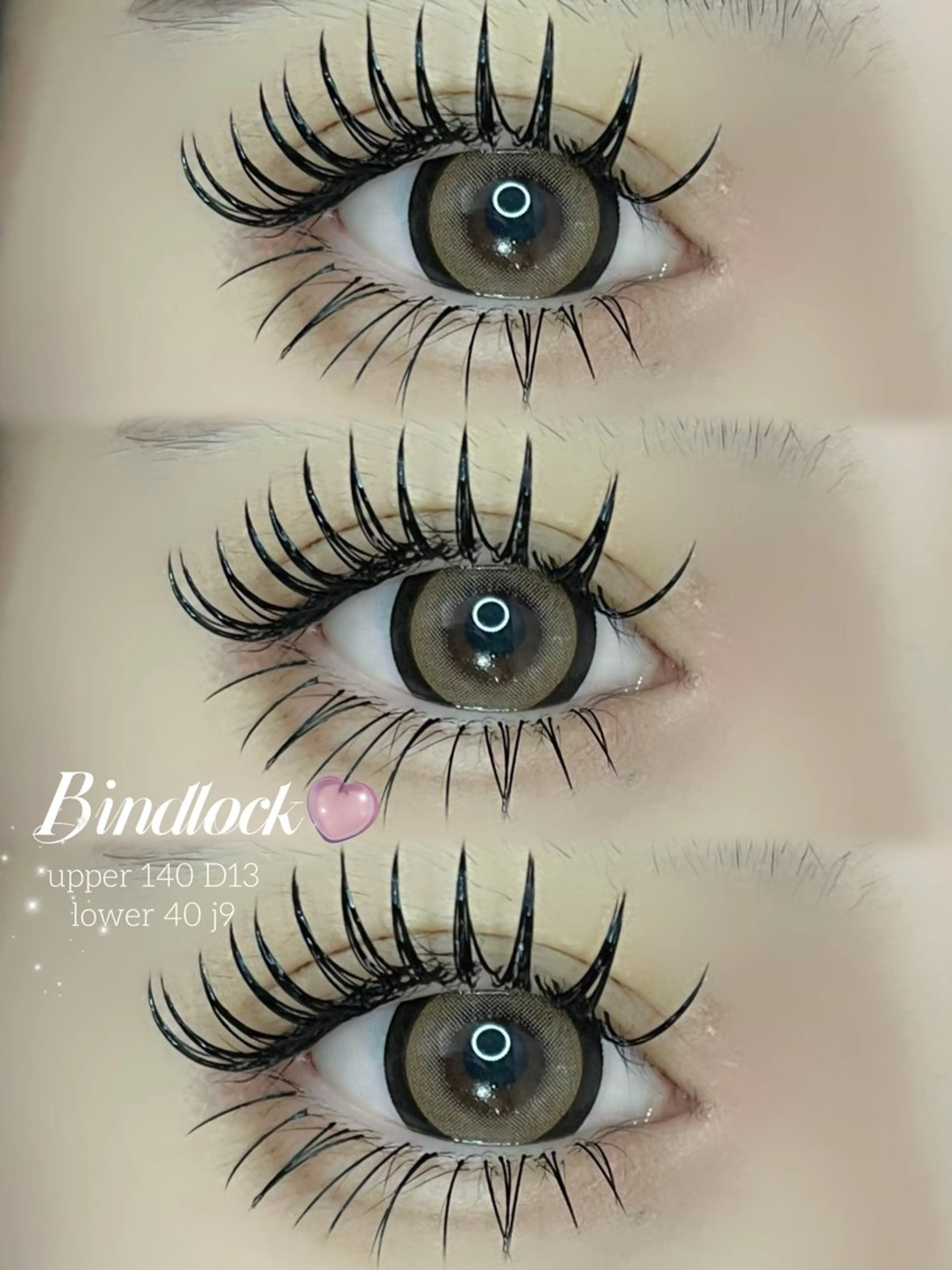 【初回】バインドロック 140束の写真