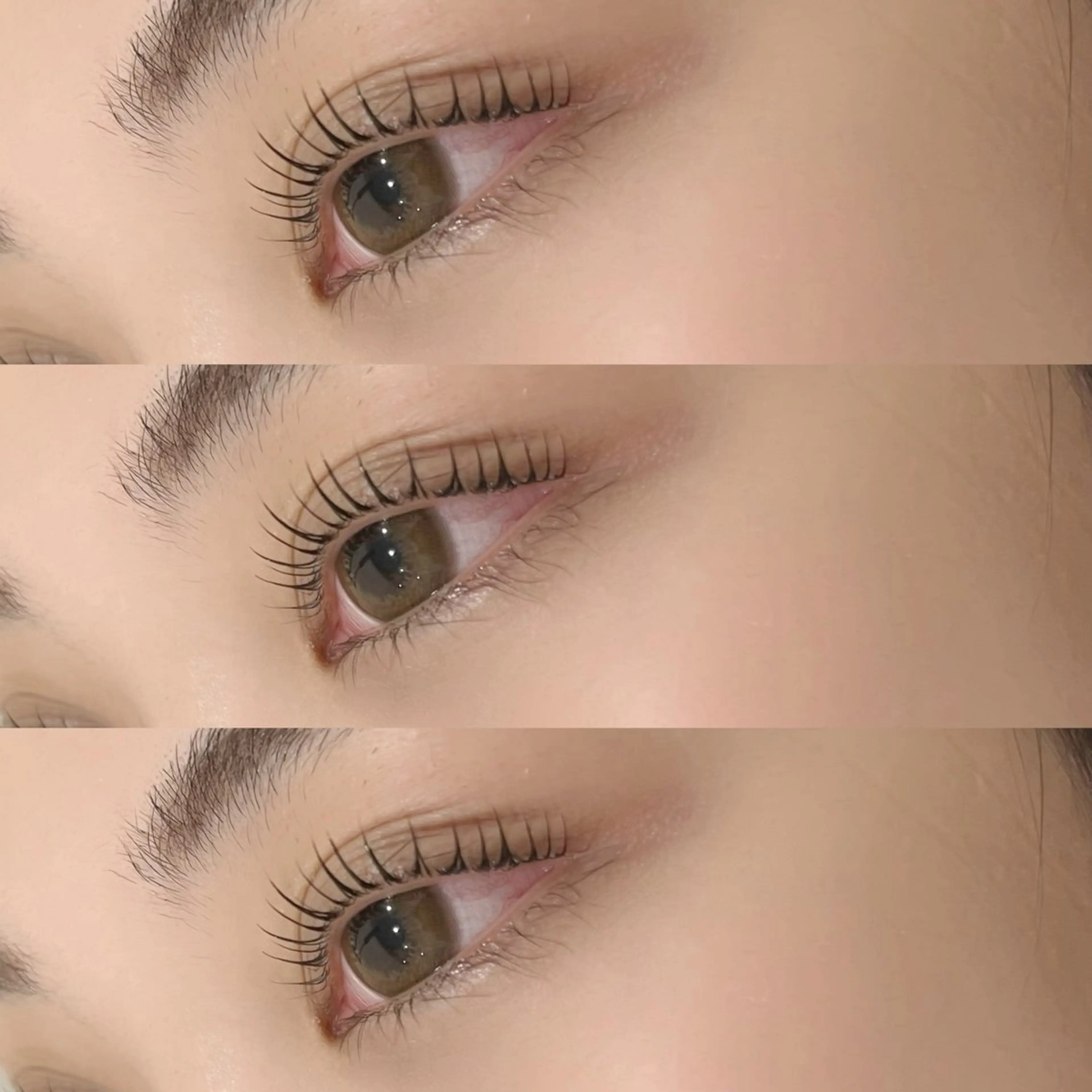 【顧客様用クーポン✨】🎀まつ毛パーマ🎀仕上げコーティング付き(パリジェンヌも可♡)の写真