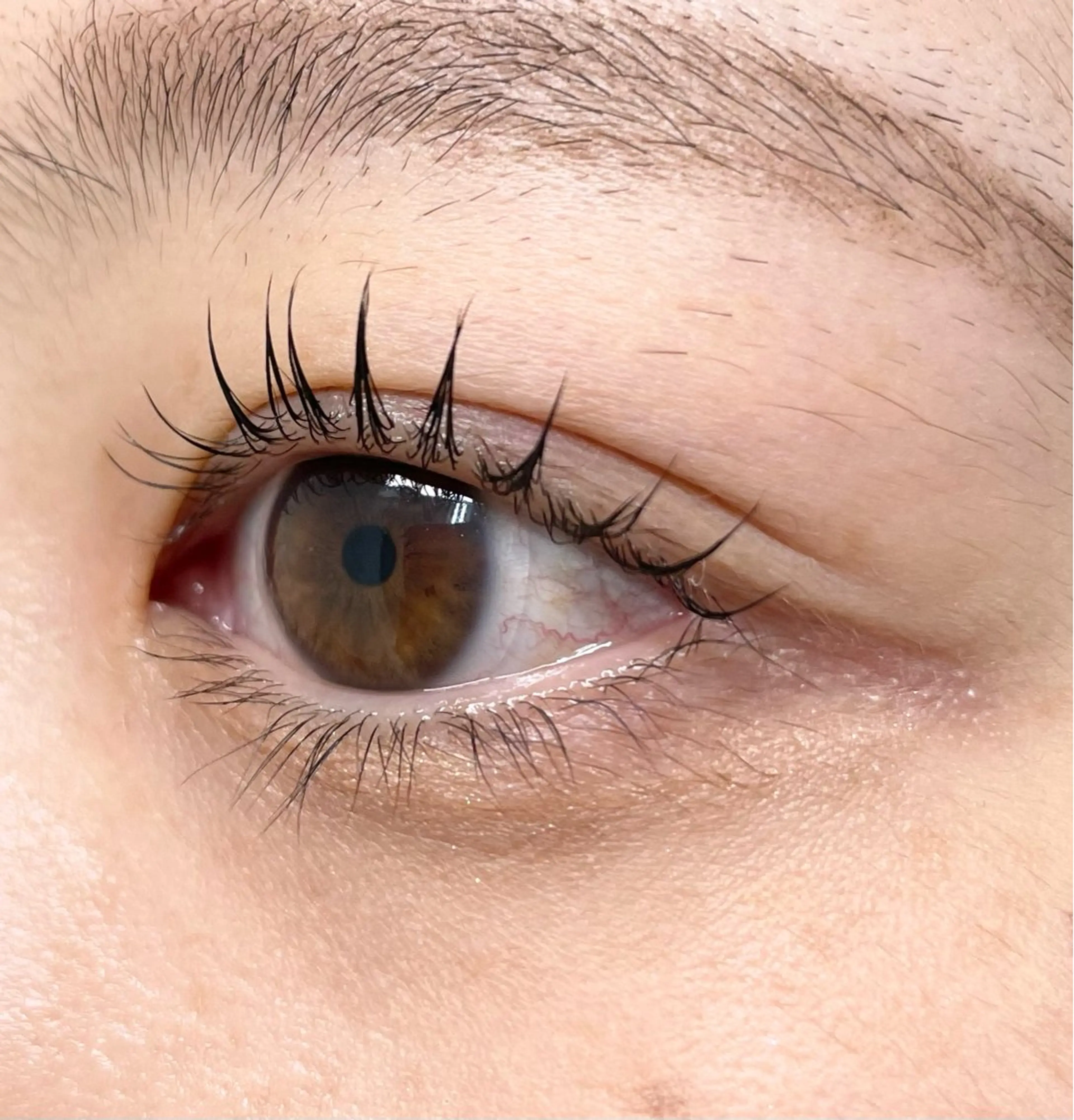 マツエク・マツパ 韓国風マツエク glitter 京橋駅徒歩 1分のその他イメージ