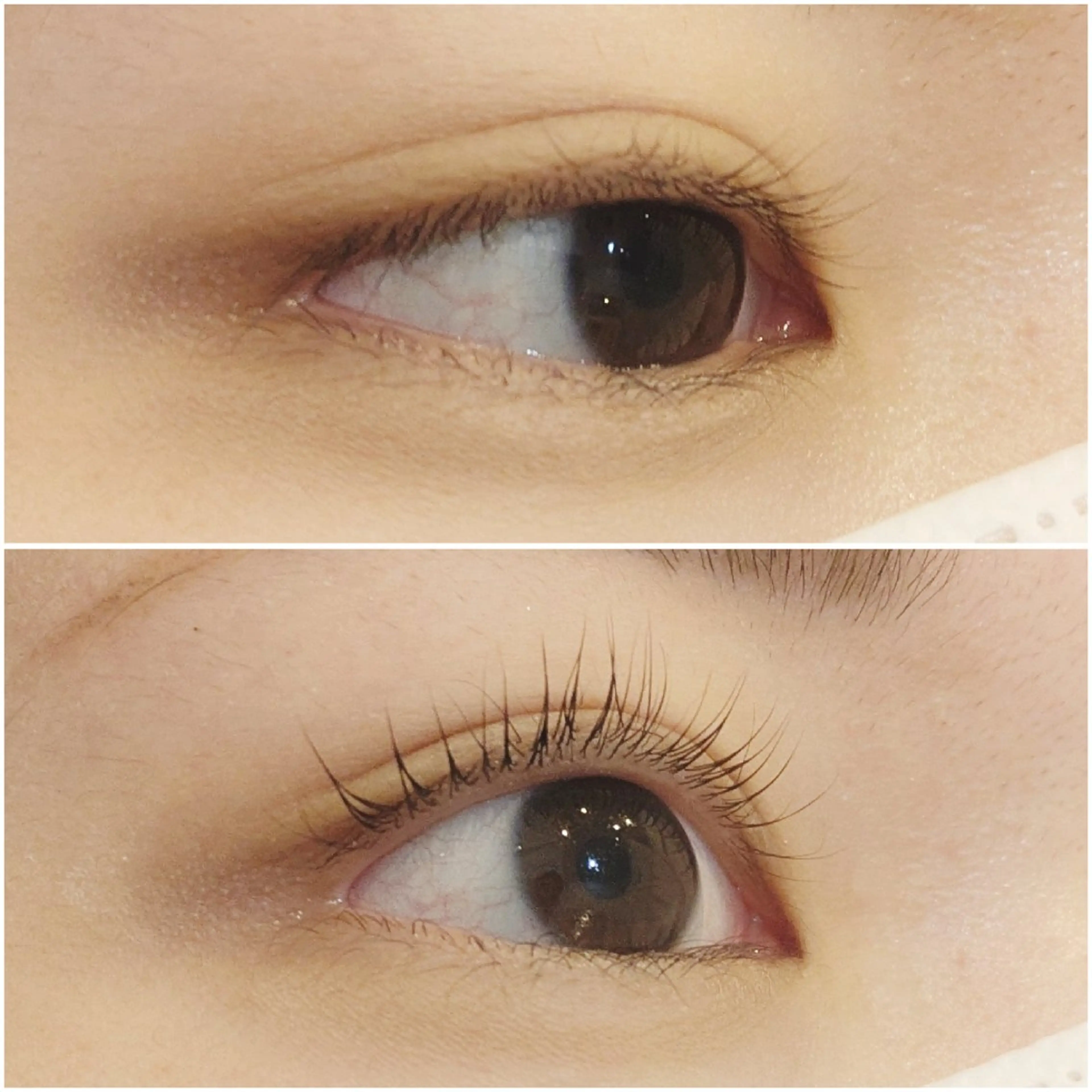 マツエク・マツパ 一重×まつ毛パーマ 【泉中央】CLASS 中村のマツエク・マツパデザイン