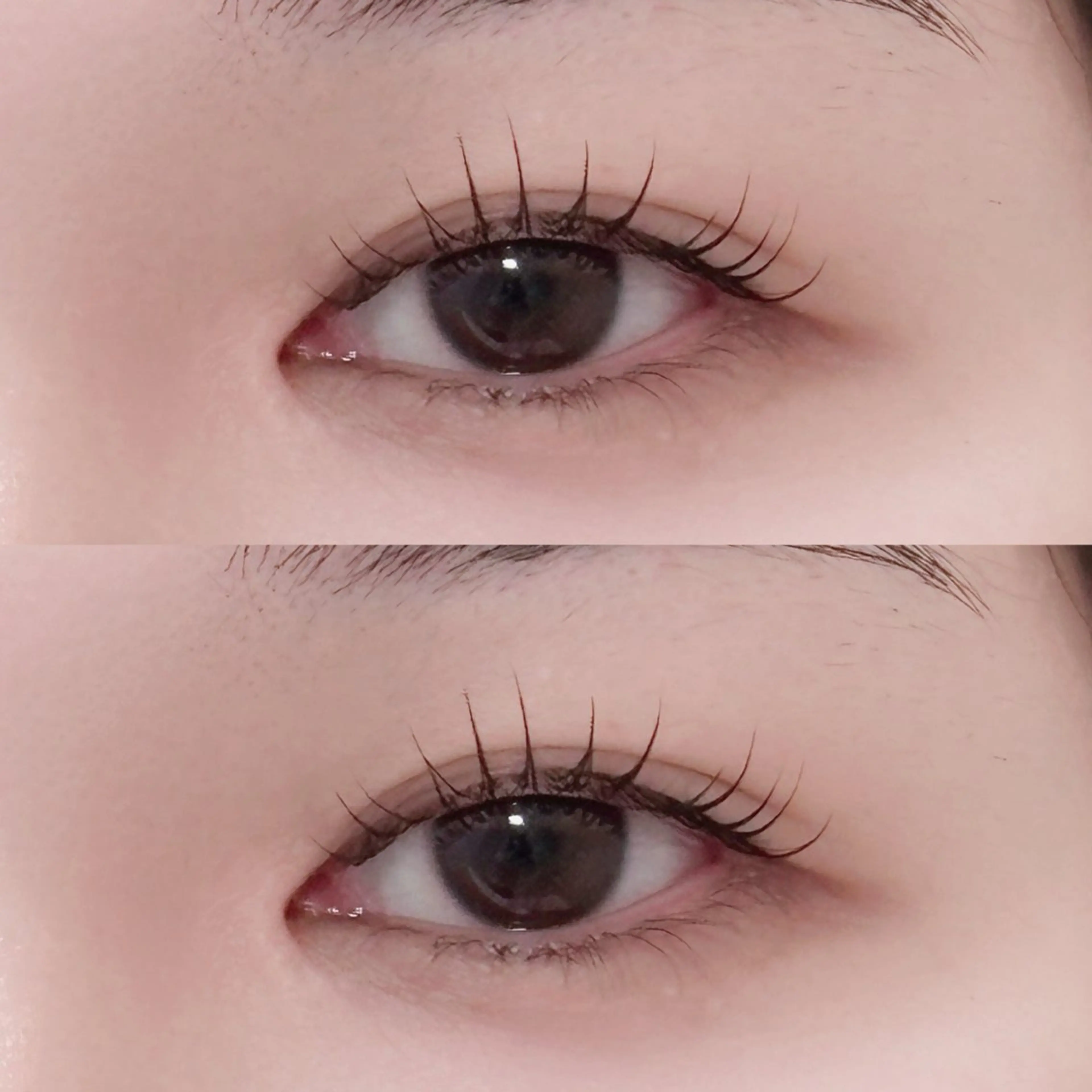 まつ毛パーマ(コーティング仕上げ)の写真