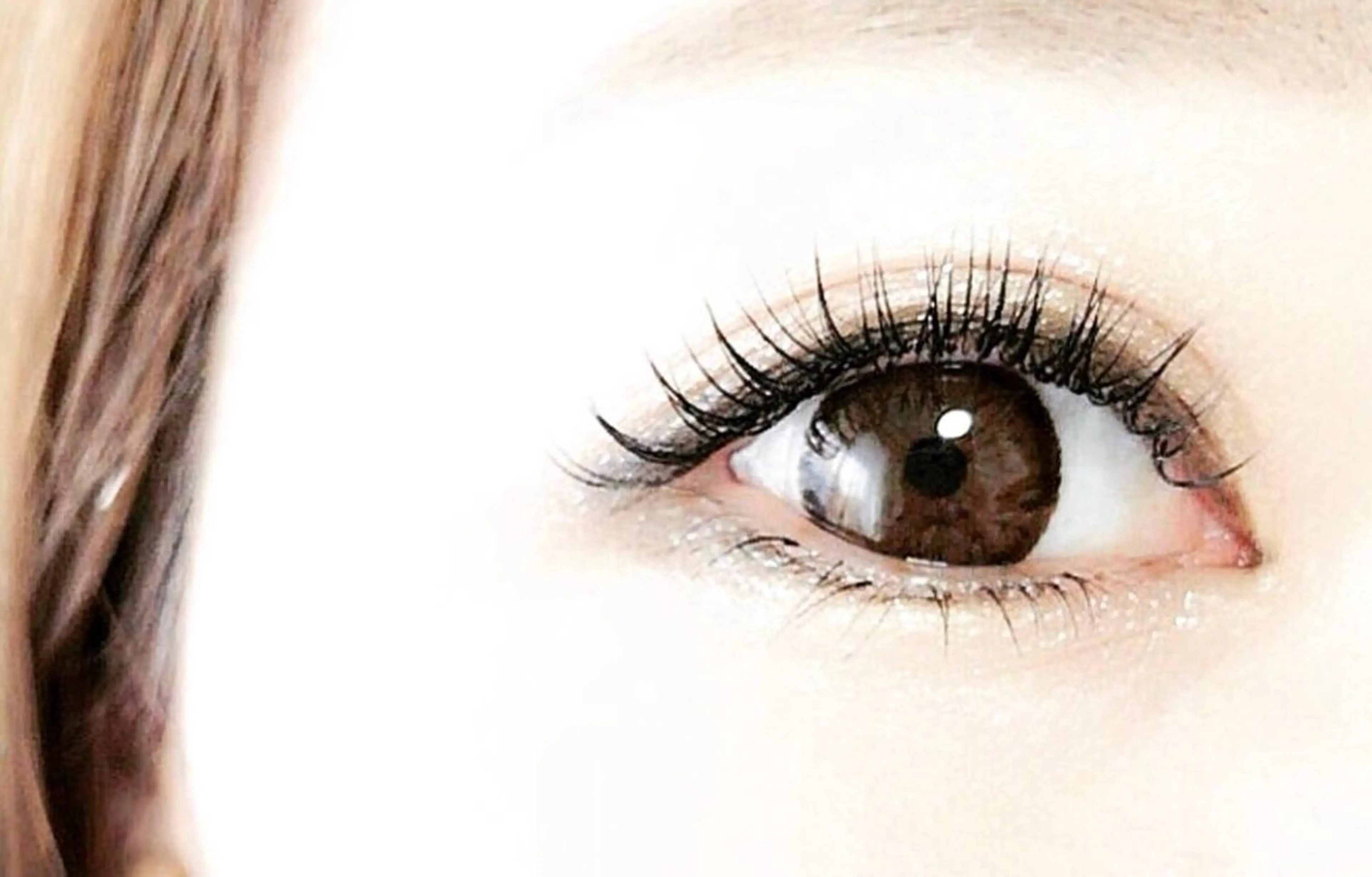 フラットラッシュ８０本の写真