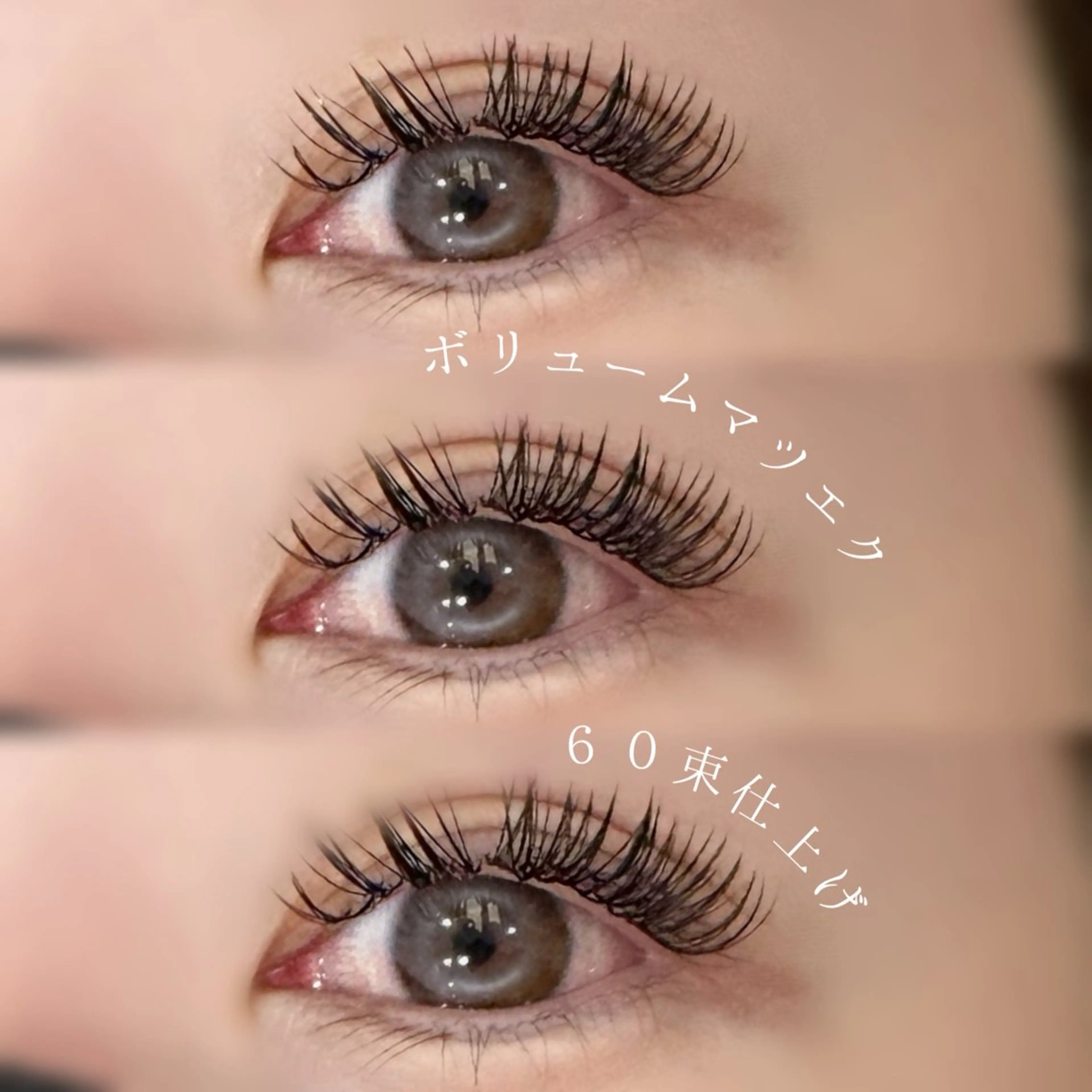 《期間限定1/28まで》【オフなし】ボリュームラッシュ✨️メガフラット60束の写真