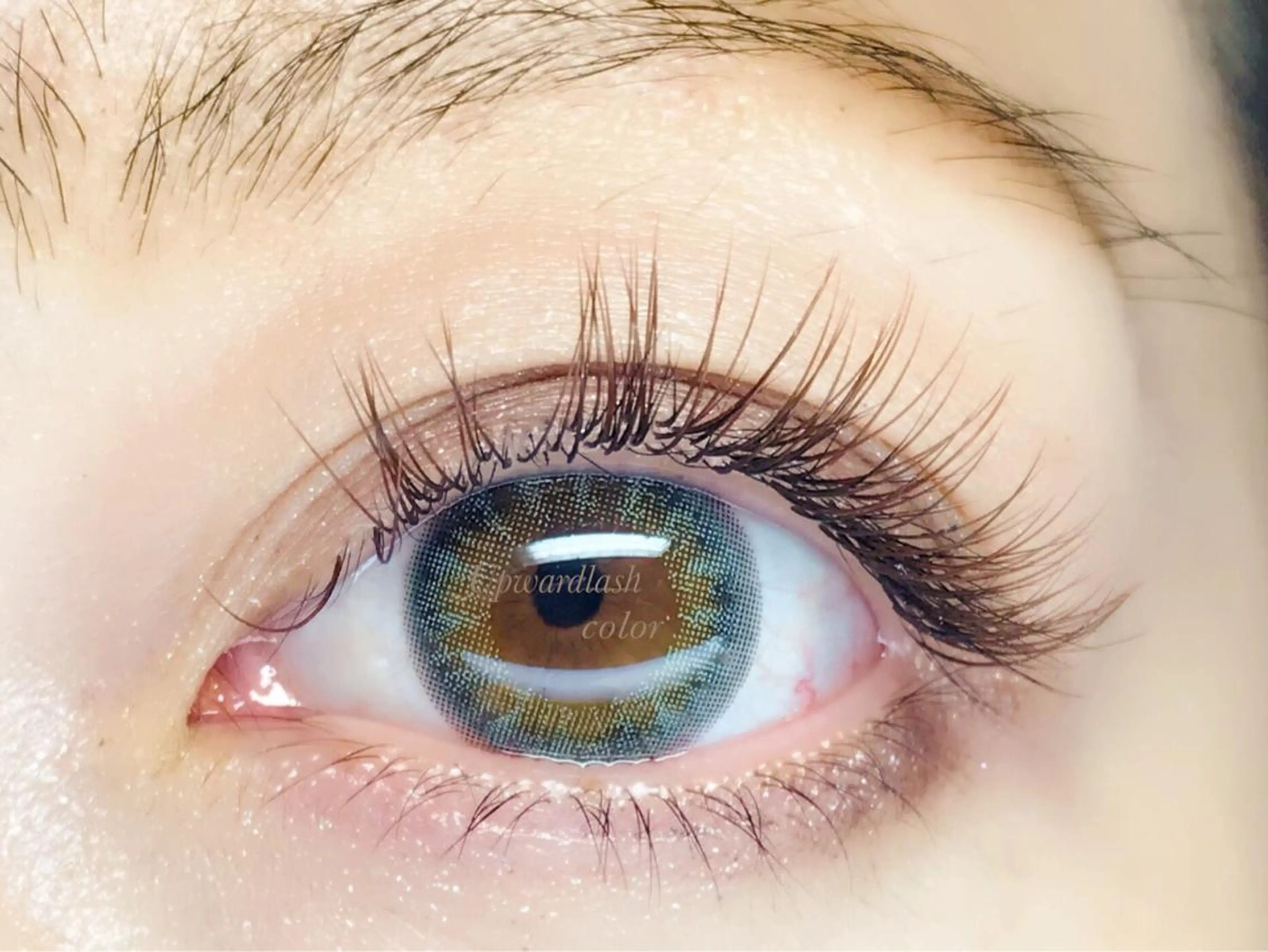 オールブラウン120本の写真