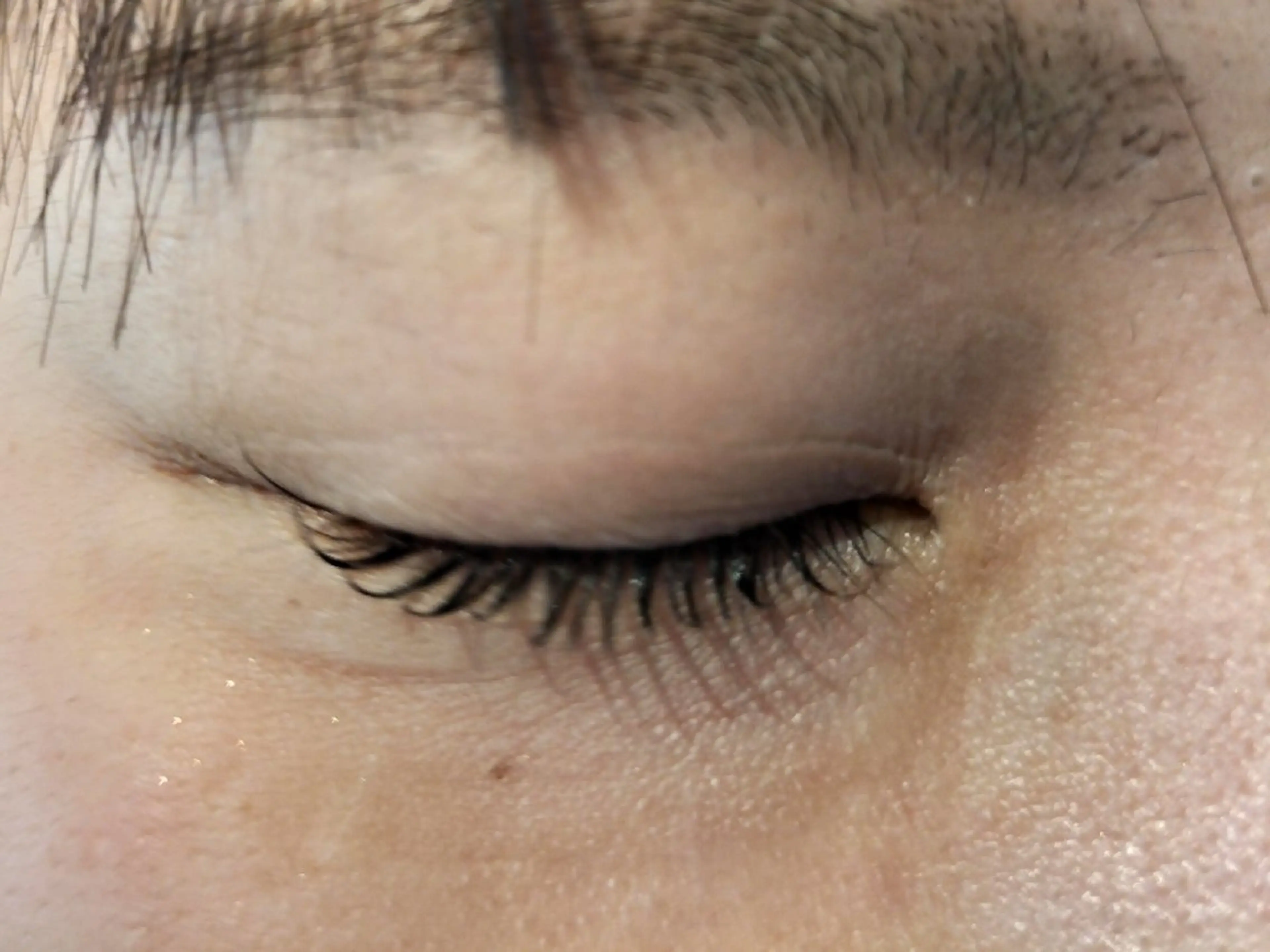 ブラックティント　オプションメニューの写真