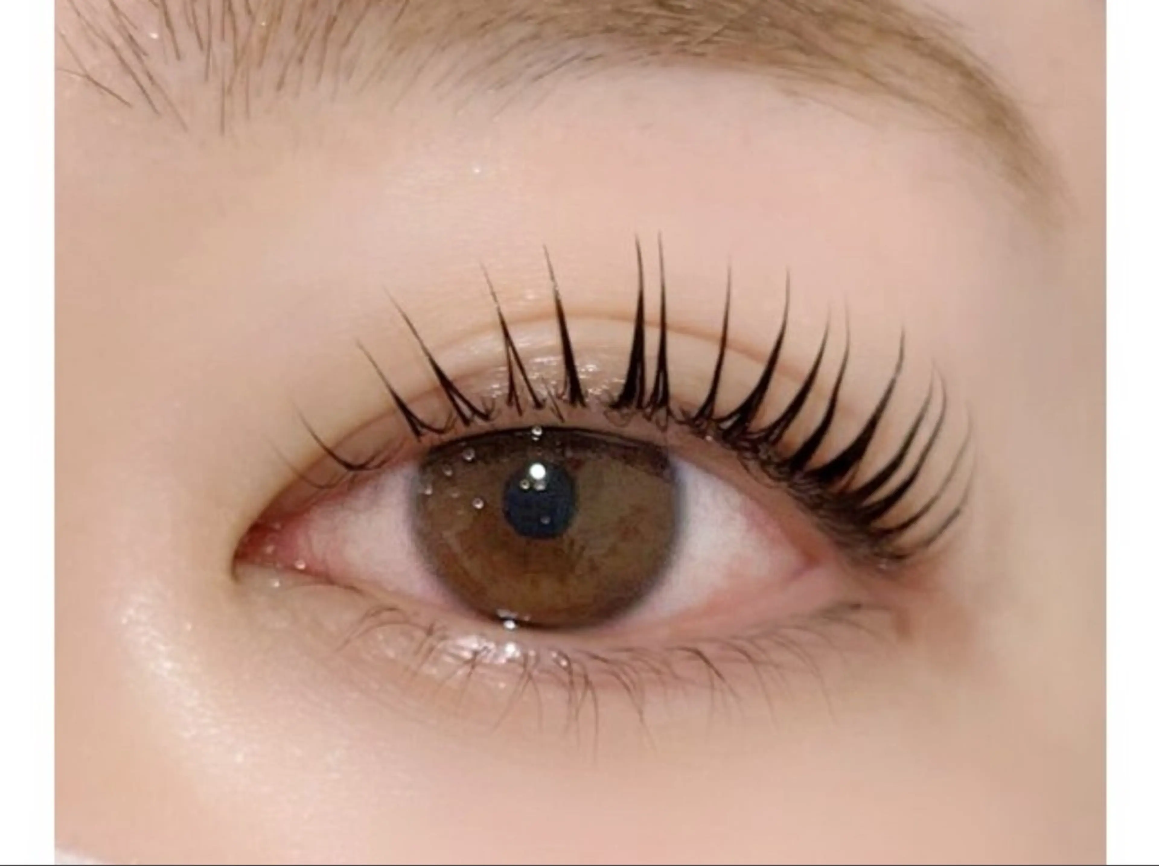 🩶ミニモ限定価格🩶【パリジェンヌ】の写真