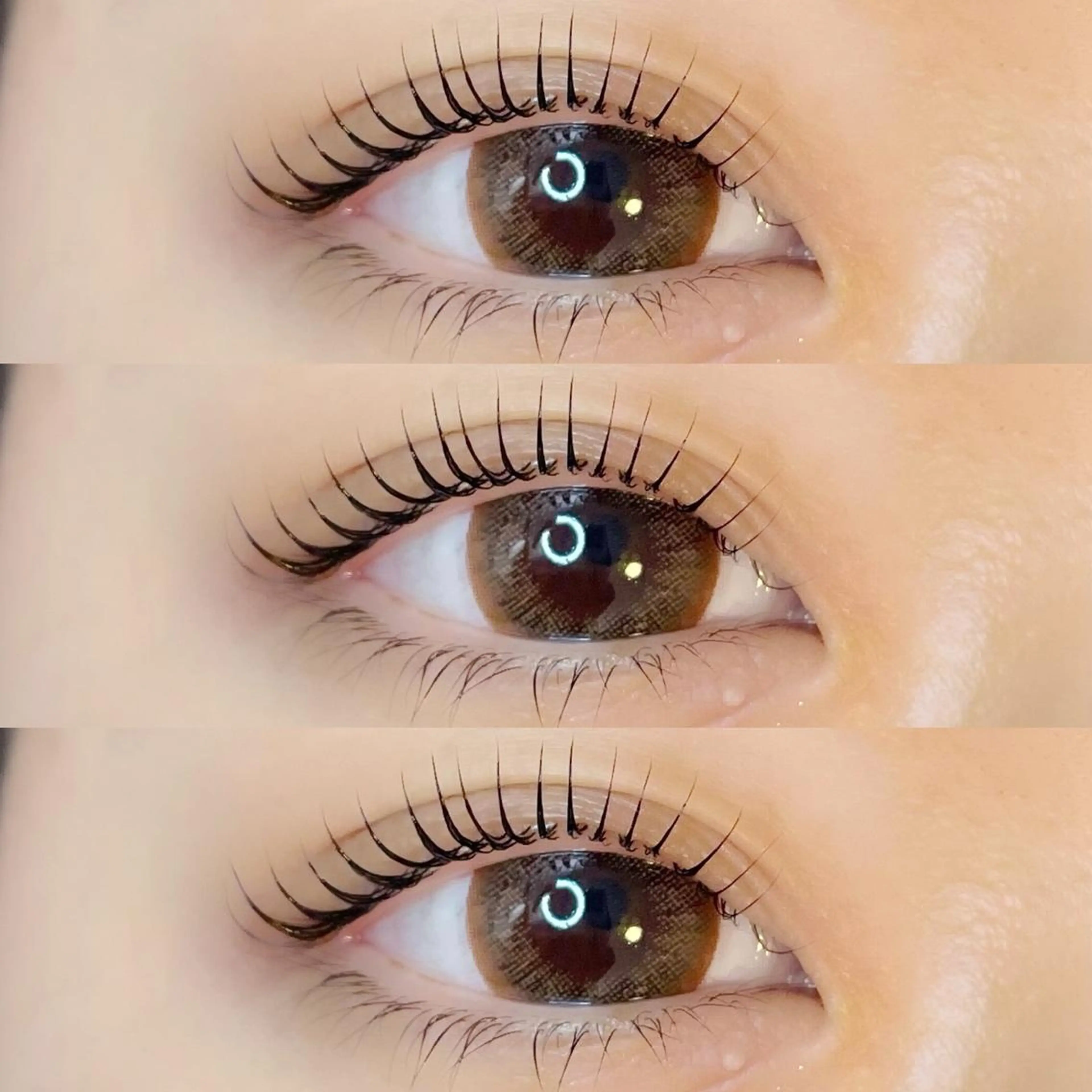 マツエク・マツパ マツパ 1月31日退社 深澤もものマツエク・マツパデザイン