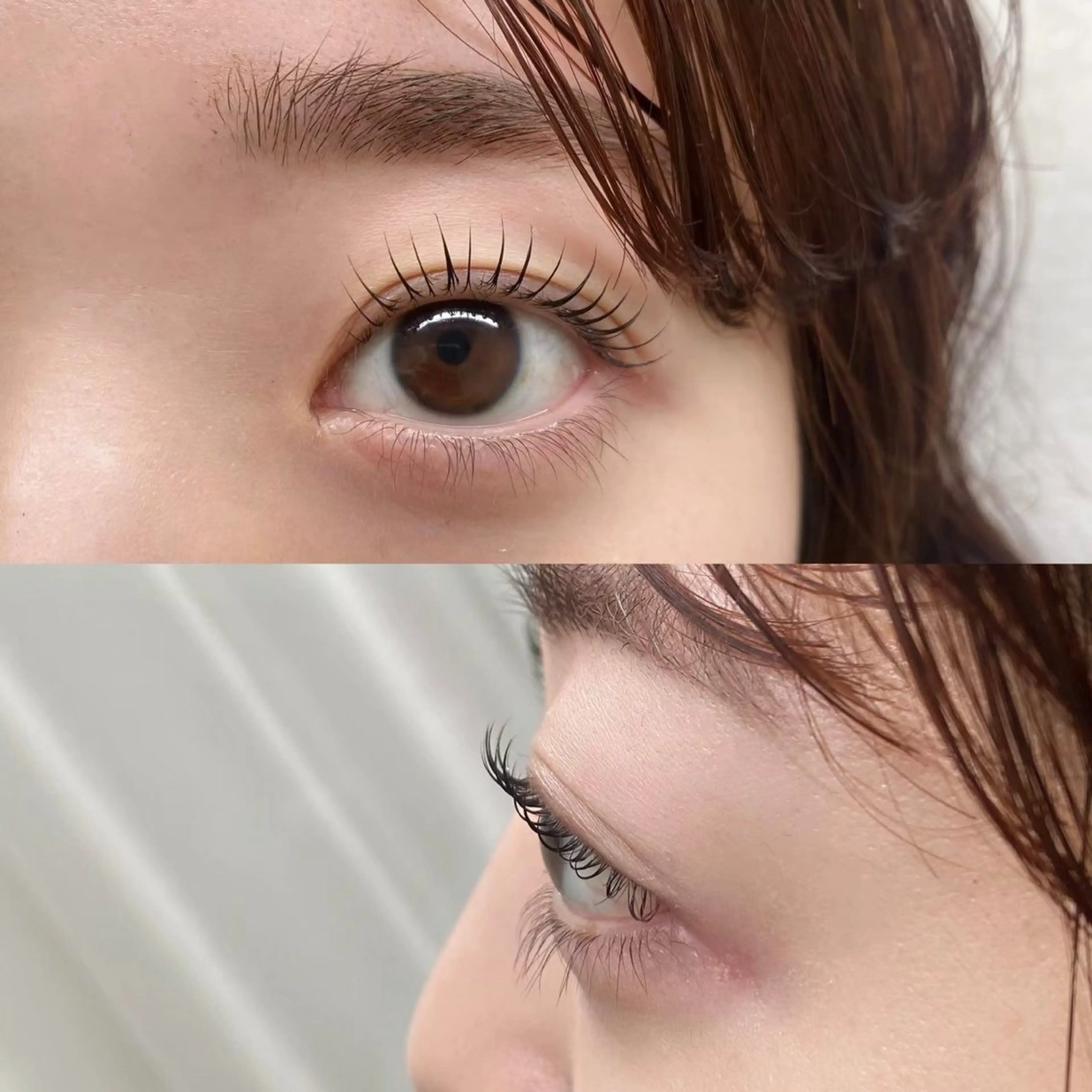 lash lift(TR+コーティング付き)の写真
