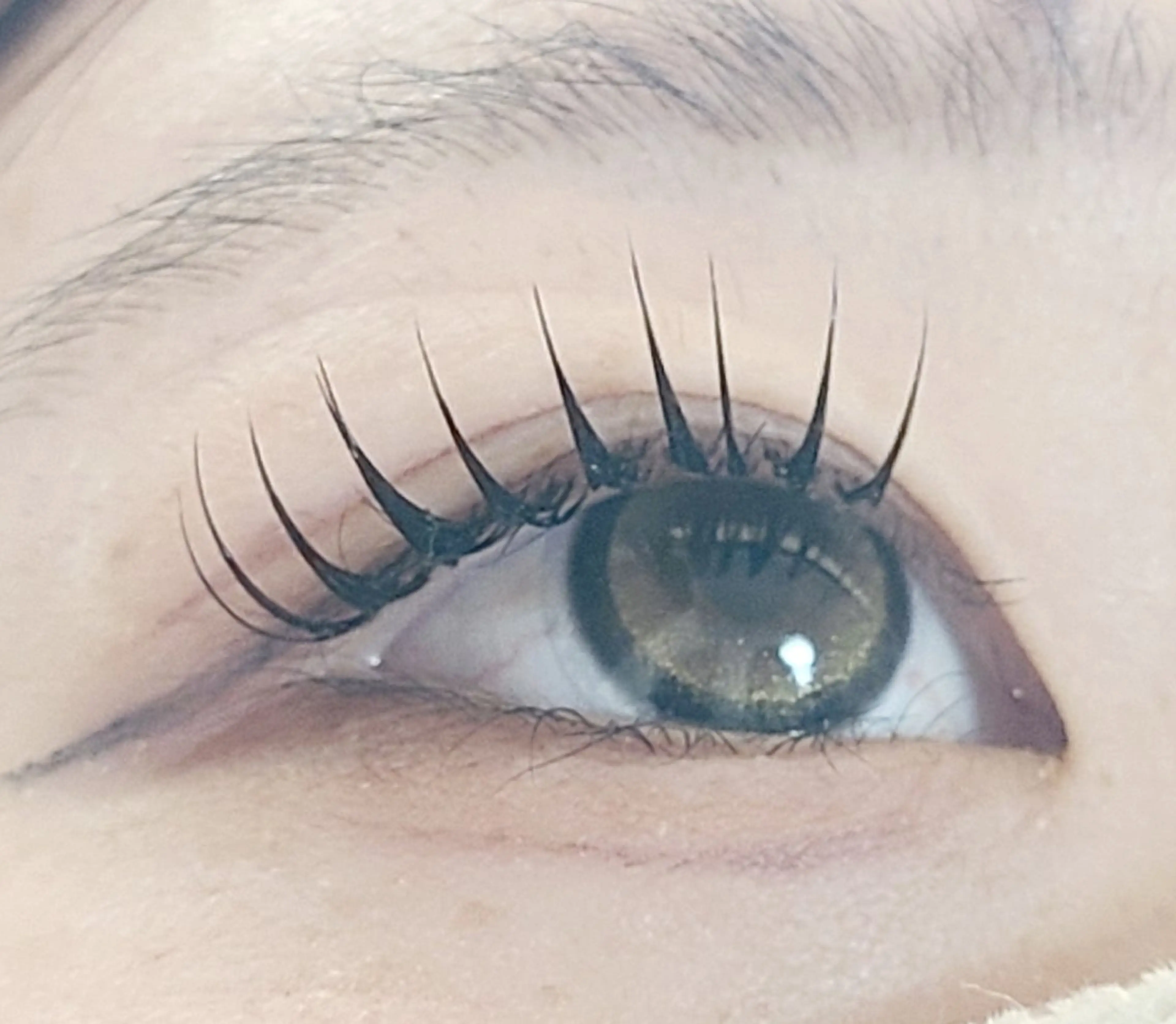 マツエク・マツパ マツエク セレビアイ/ ISHIIのマツエク・マツパデザイン