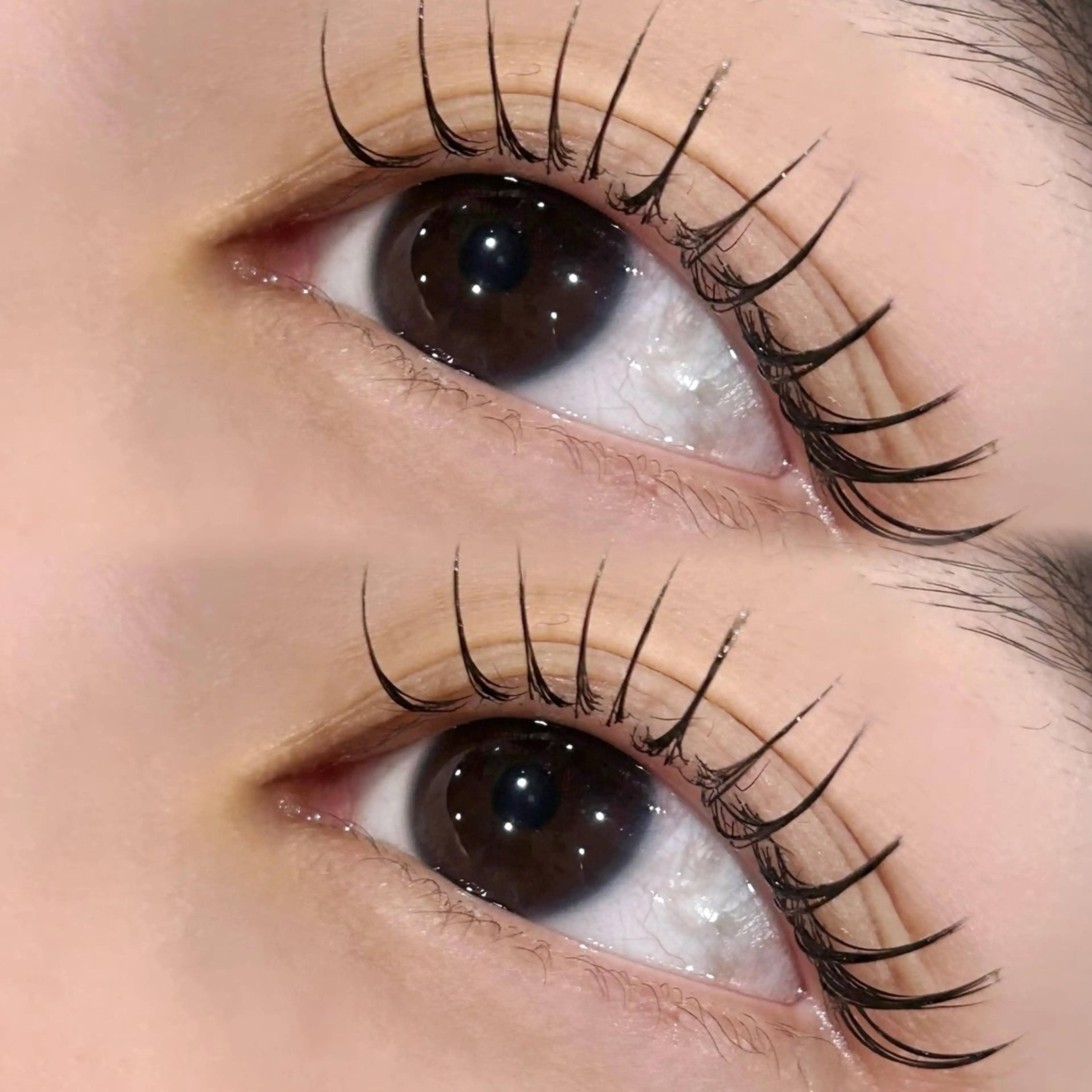 マツエク・マツパ 🤍 JURIのマツエク・マツパデザイン