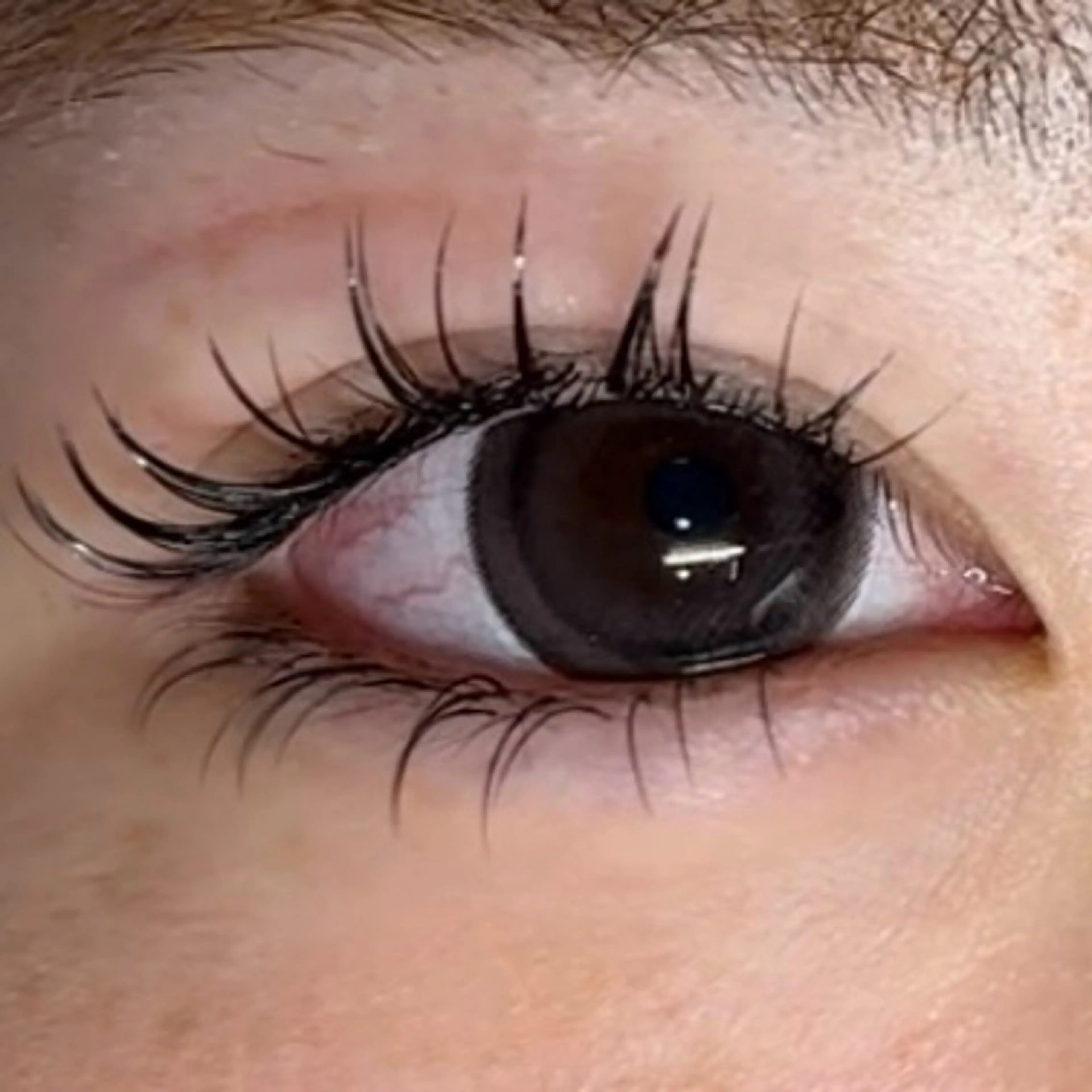 マツエク・マツパ MAQUIA 大牟田店 福山のマツエク・マツパデザイン