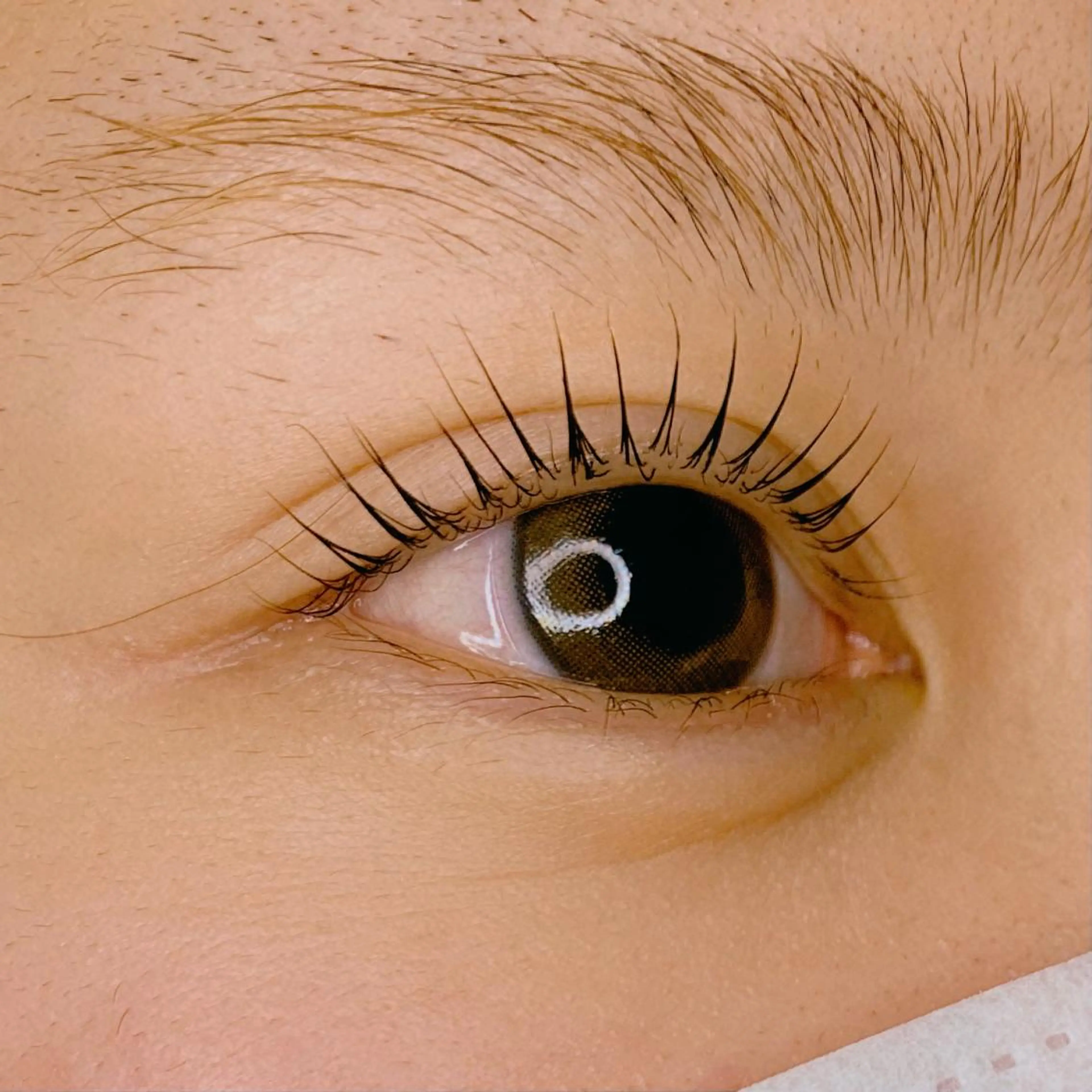 マツエク・マツパ パリジェンヌラッシュリフト Celeste Venus所属・🧸Celeste Venusのマツエク・マツパデザイン