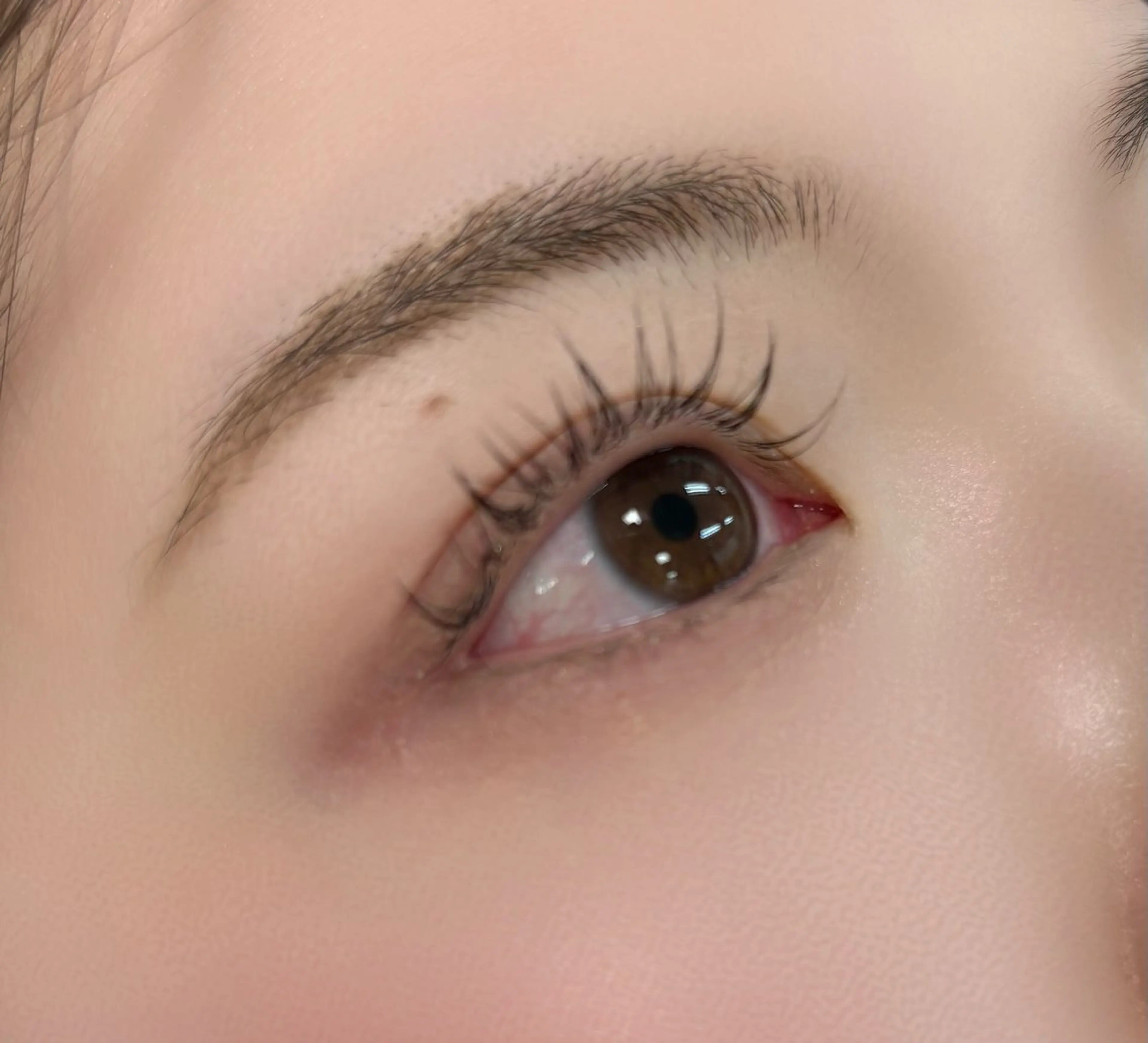 マツエク・マツパ ナチュラル 東三国/ CHISAKI🎀のヘアスタイル