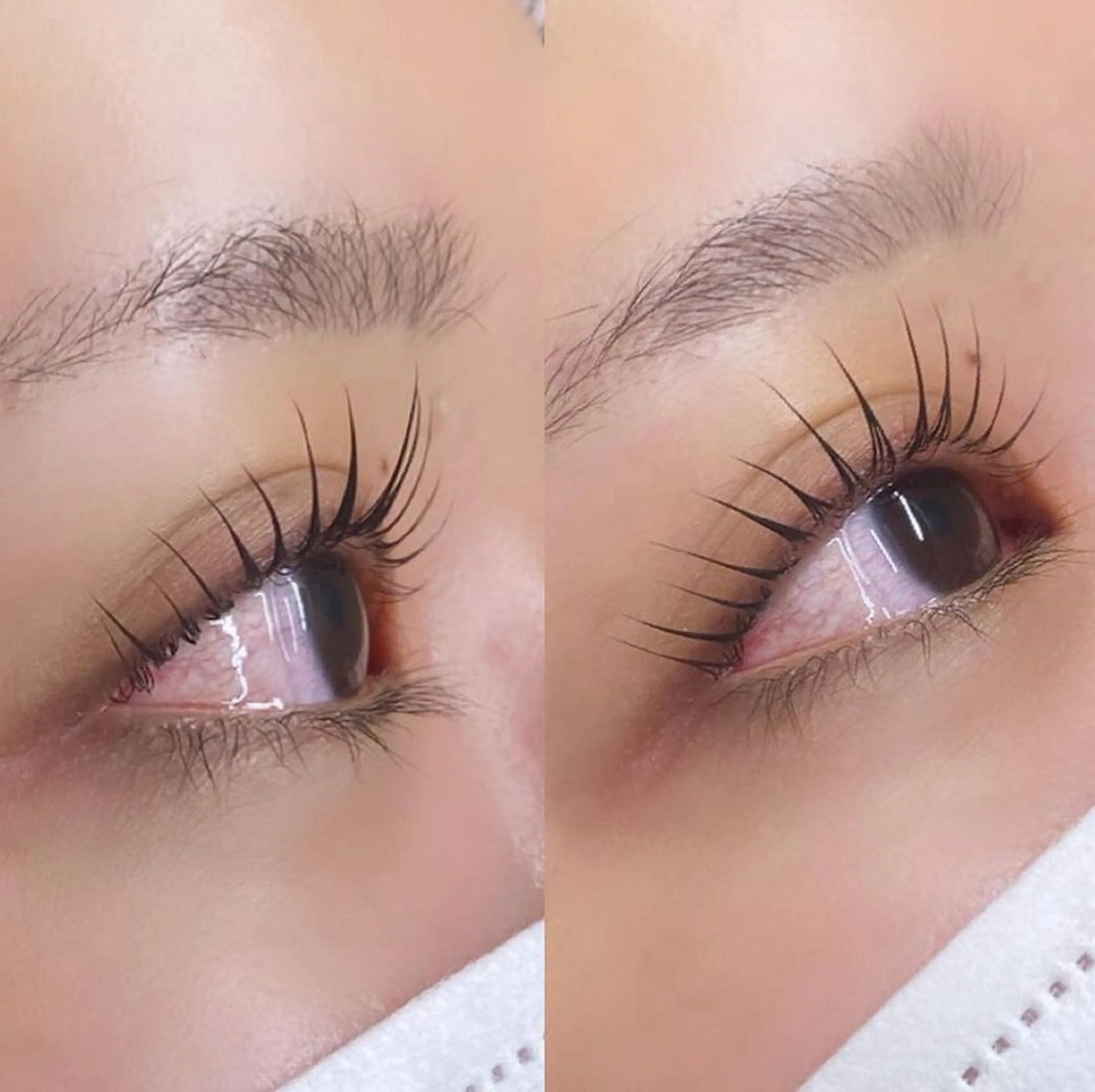 【新規12時-17時】✨🌼🌷平日限定まつ毛パーマ🉐¥3,500🌷🌼✨ミニモ限定(上のみ)エクオフ不可⚠️の写真