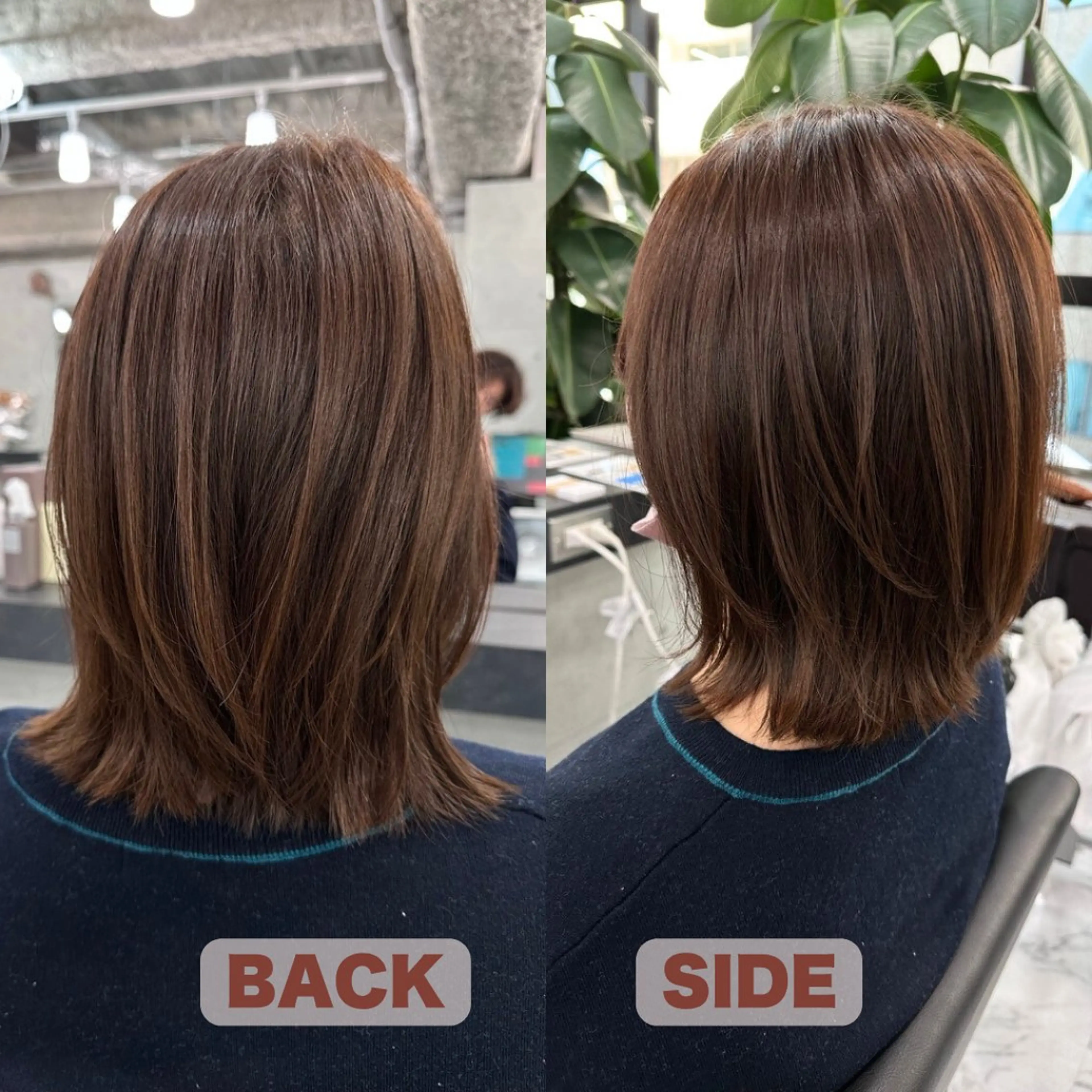 ミディアム レイヤーカット 小顔カット ウルフカット カット ヘアカラー Endearing 銀座/レイヤーカットのヘアスタイル