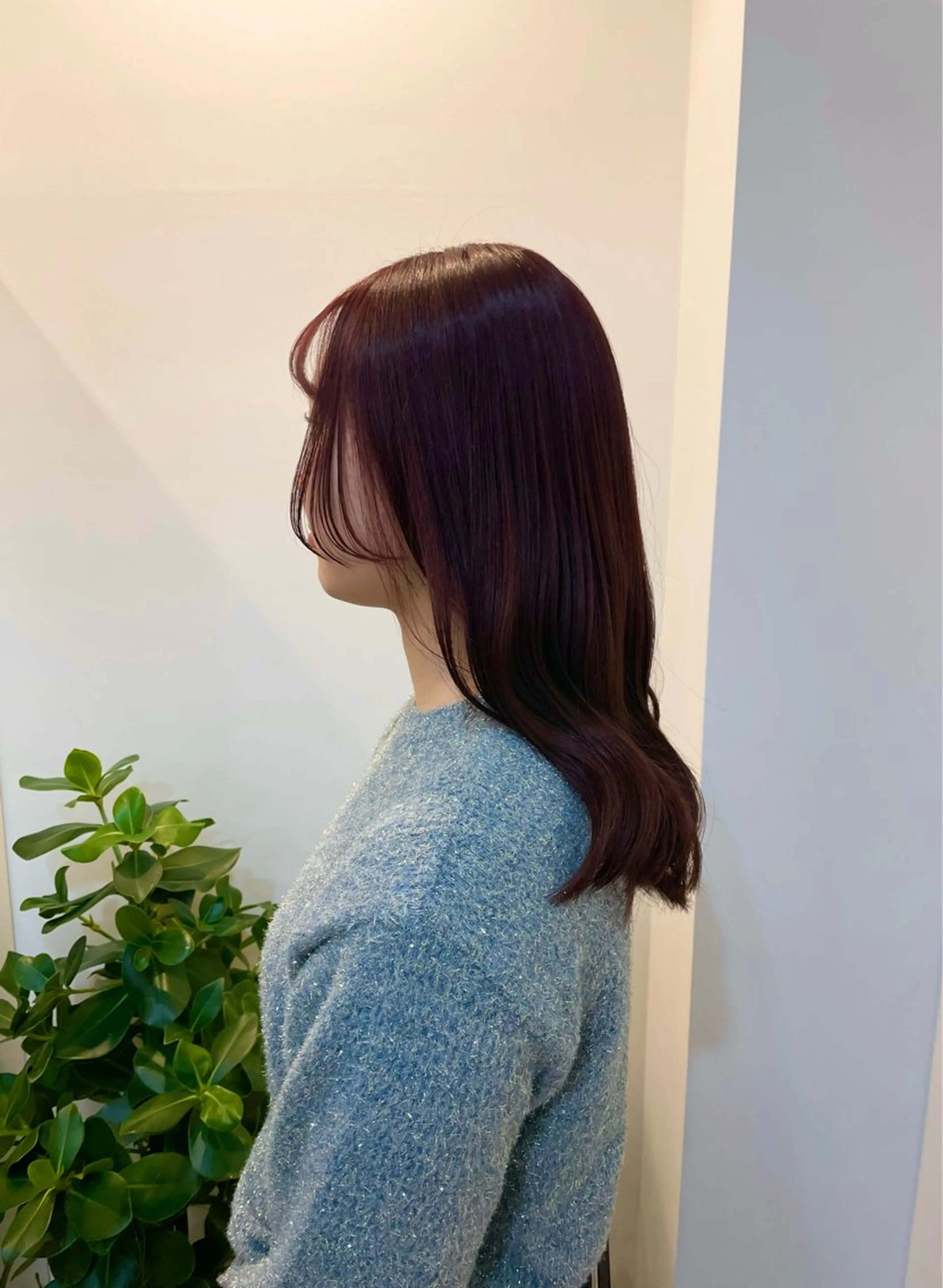 セミロング カット ヘアカラー トリートメント 東京の技術を 京都で✂︎🕊️💖のヘアスタイル