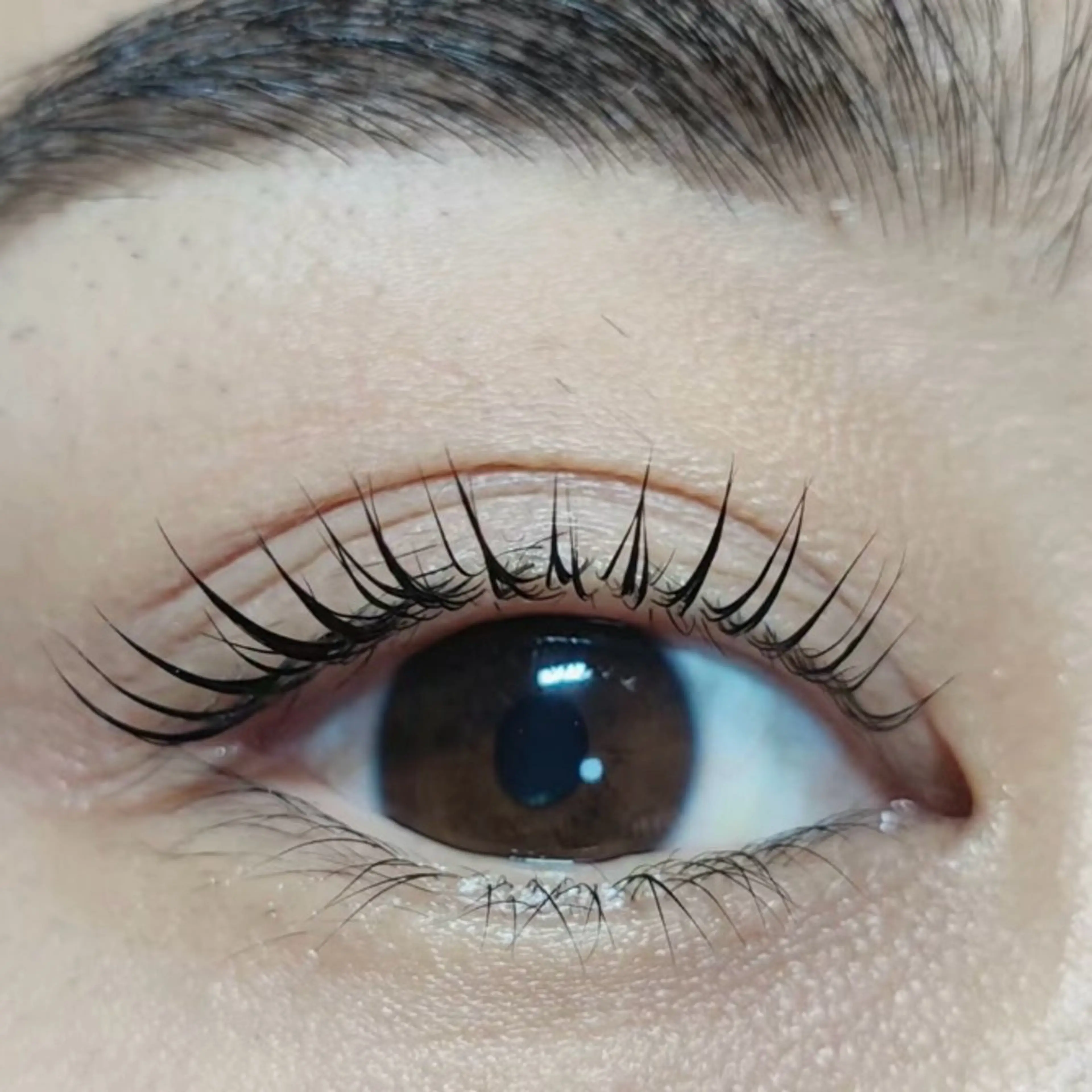 マツエク・マツパ 束感まつ毛 カラーマツエク フラットラッシュ パリジェンヌラッシュリフト まつげパーマ 🍓 KaNan🍓のマツエク・マツパデザイン