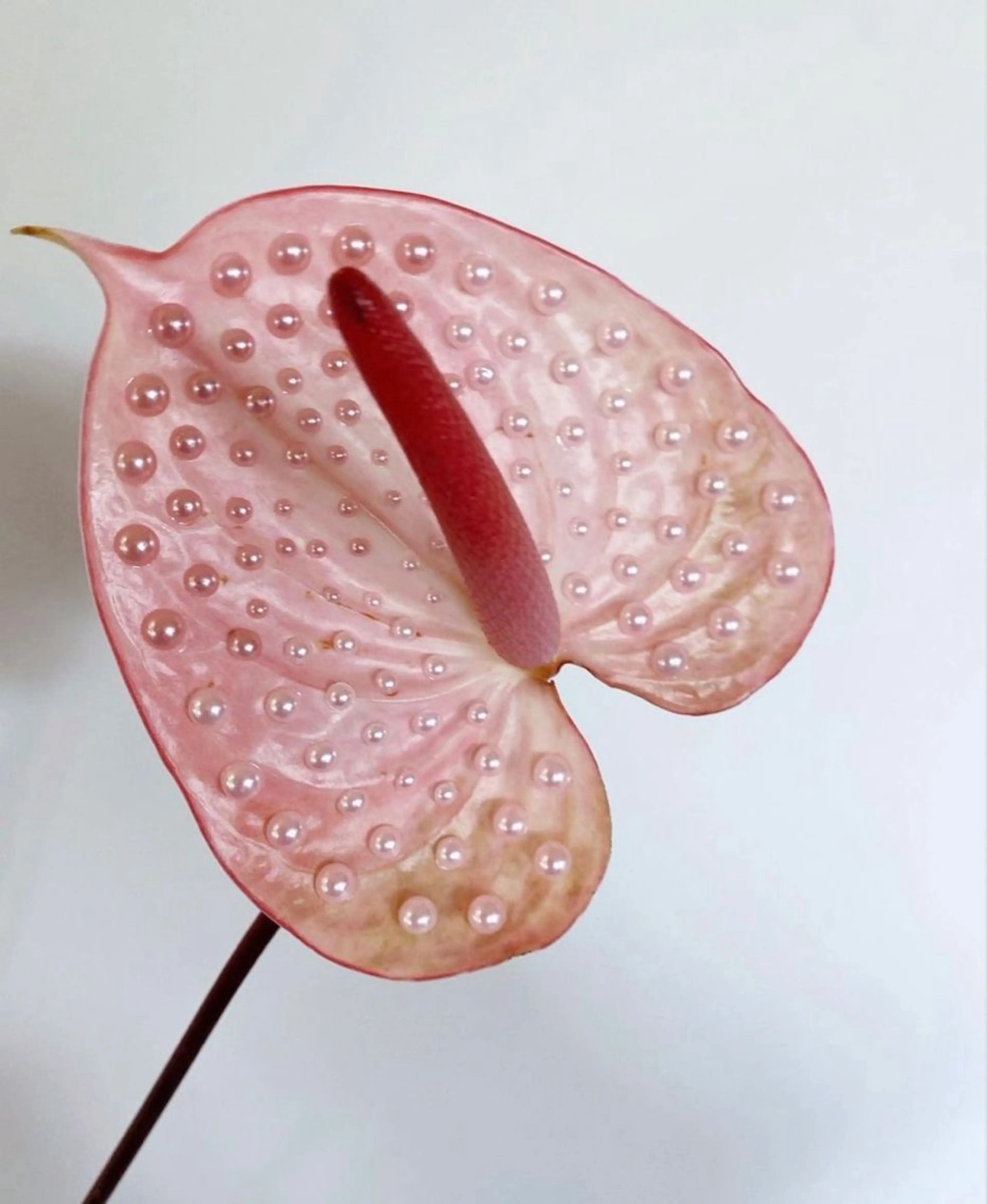 Eyelist ‪ Nanako◞❤︎のマツエク・マツパデザイン