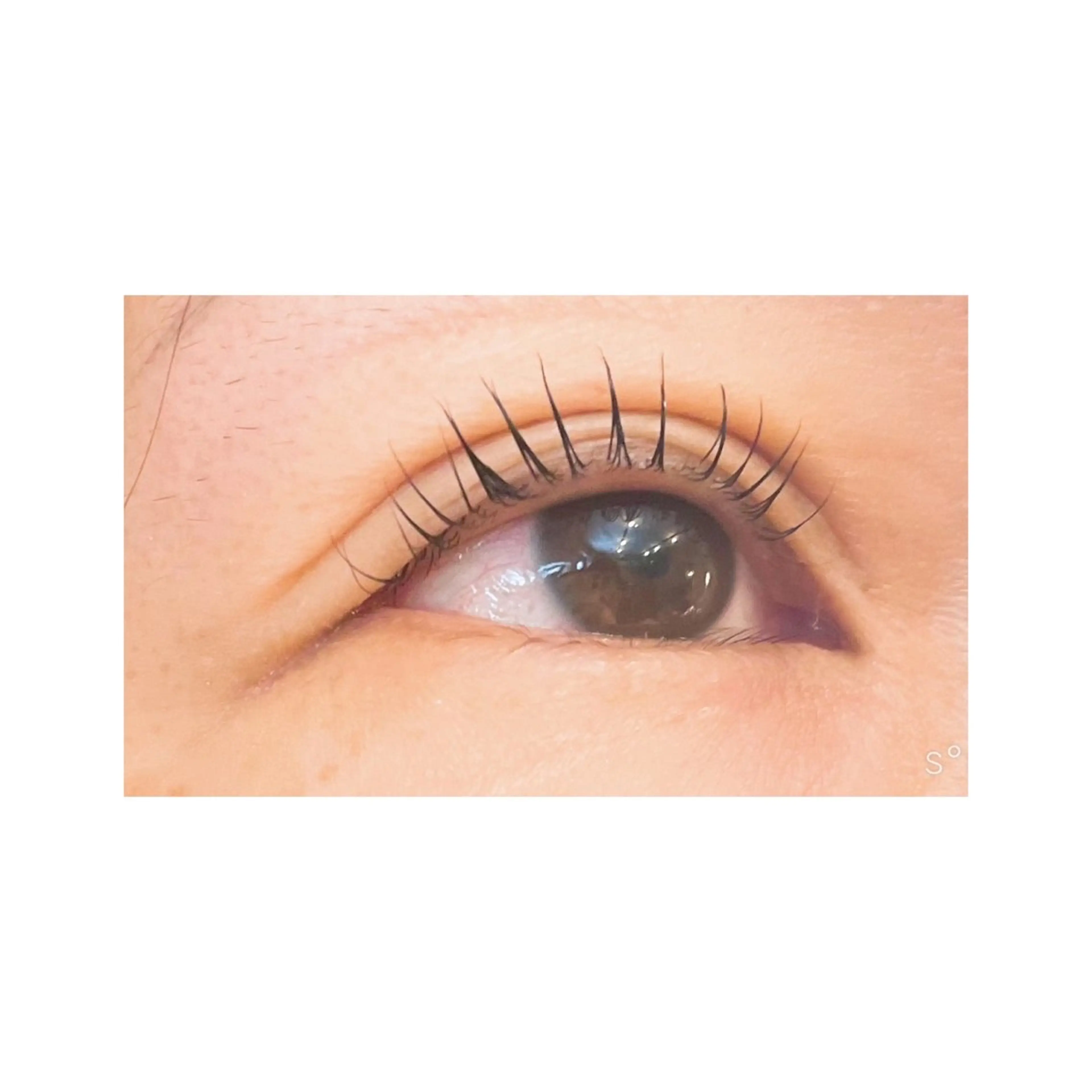 マツエク・マツパ THREE所属・THREE🌿🪞 ririkaのマツエク・マツパデザイン