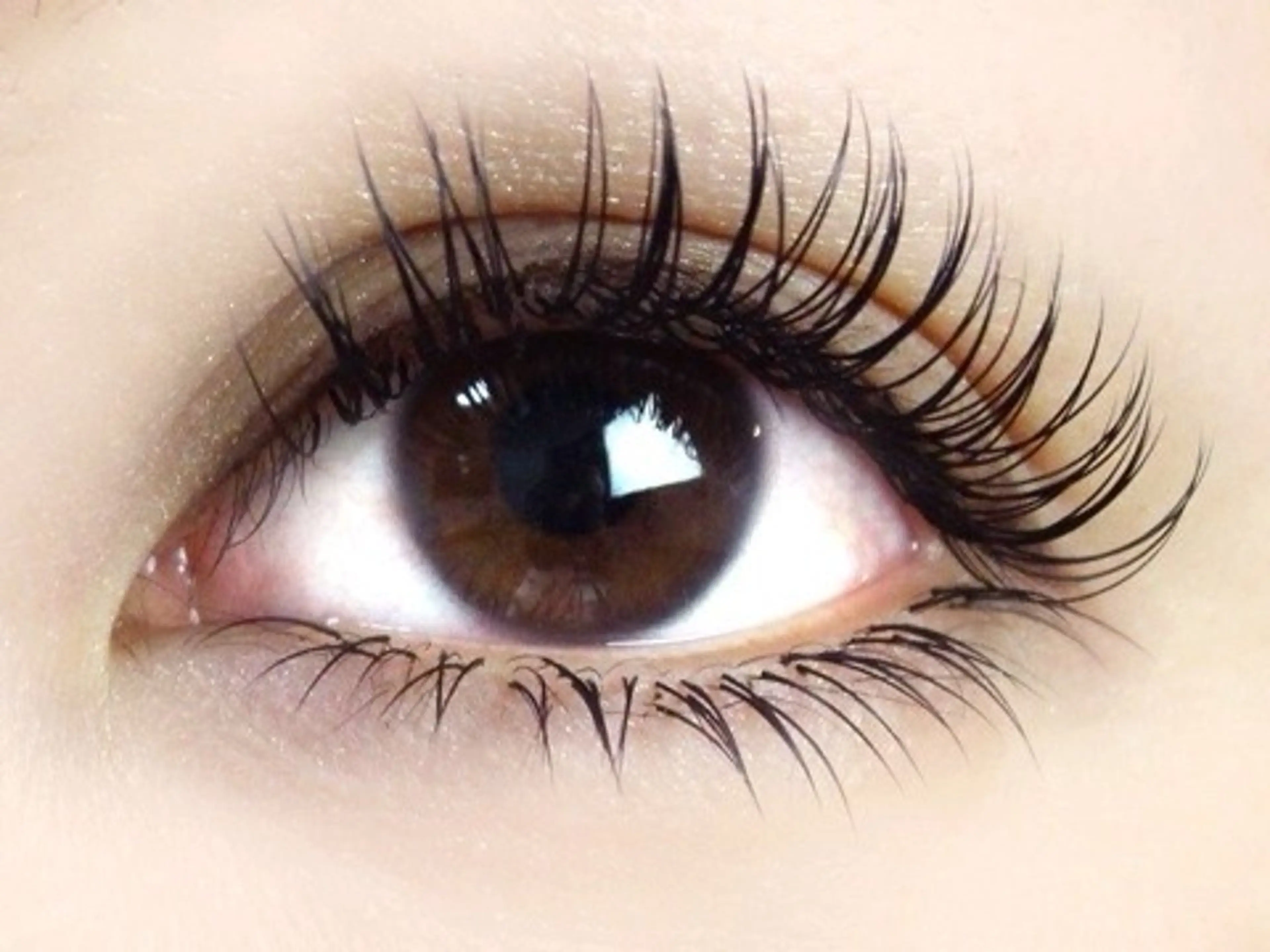 マツエク・マツパ フラットラッシュ eyesalon Nifee所属・ダメージレス✨ 美まつ毛Nifeeのマツエク・マツパデザイン