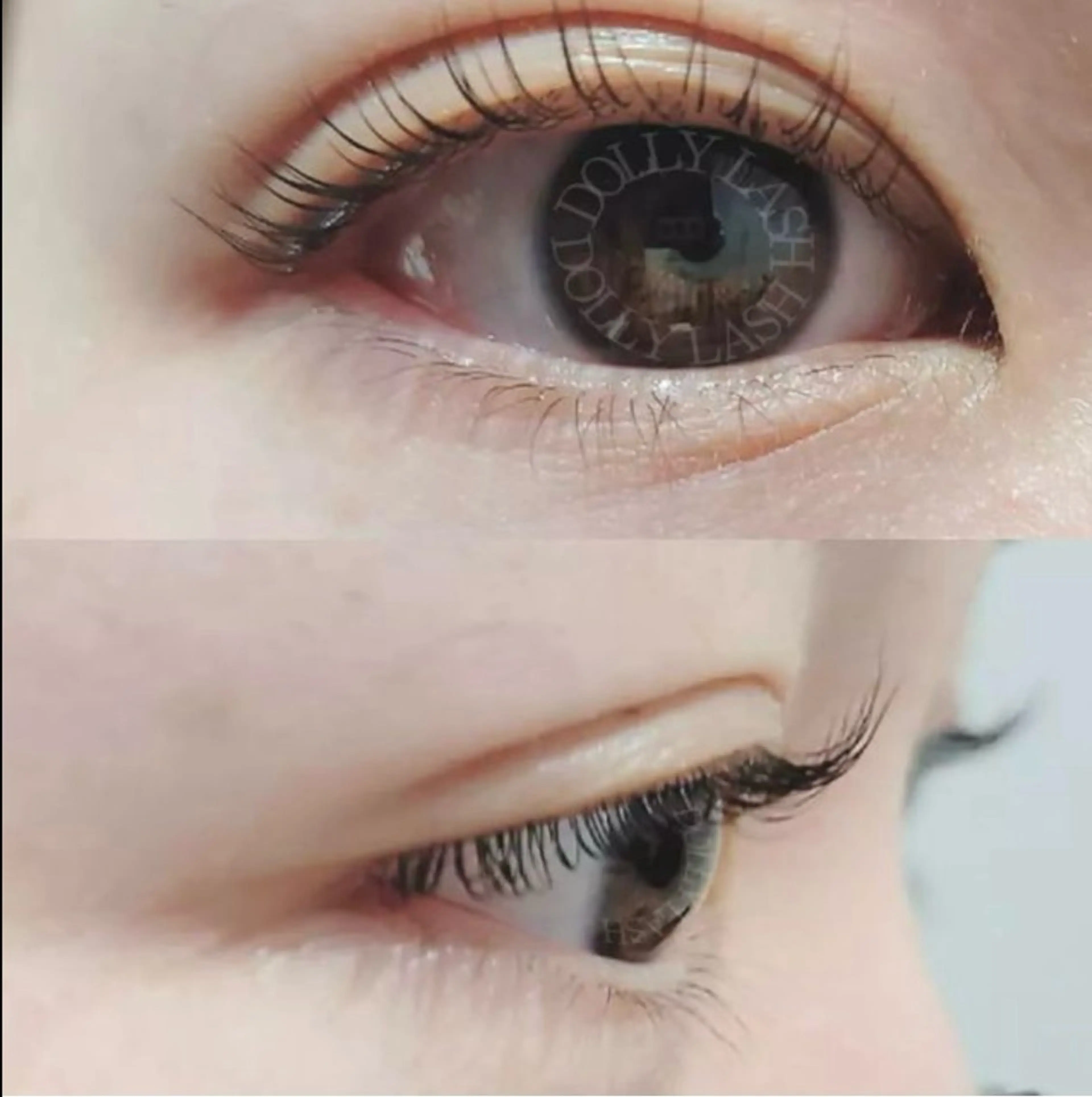 マツエク・マツパ ドーリーラッシュ 小嶌のマツエク・マツパデザイン