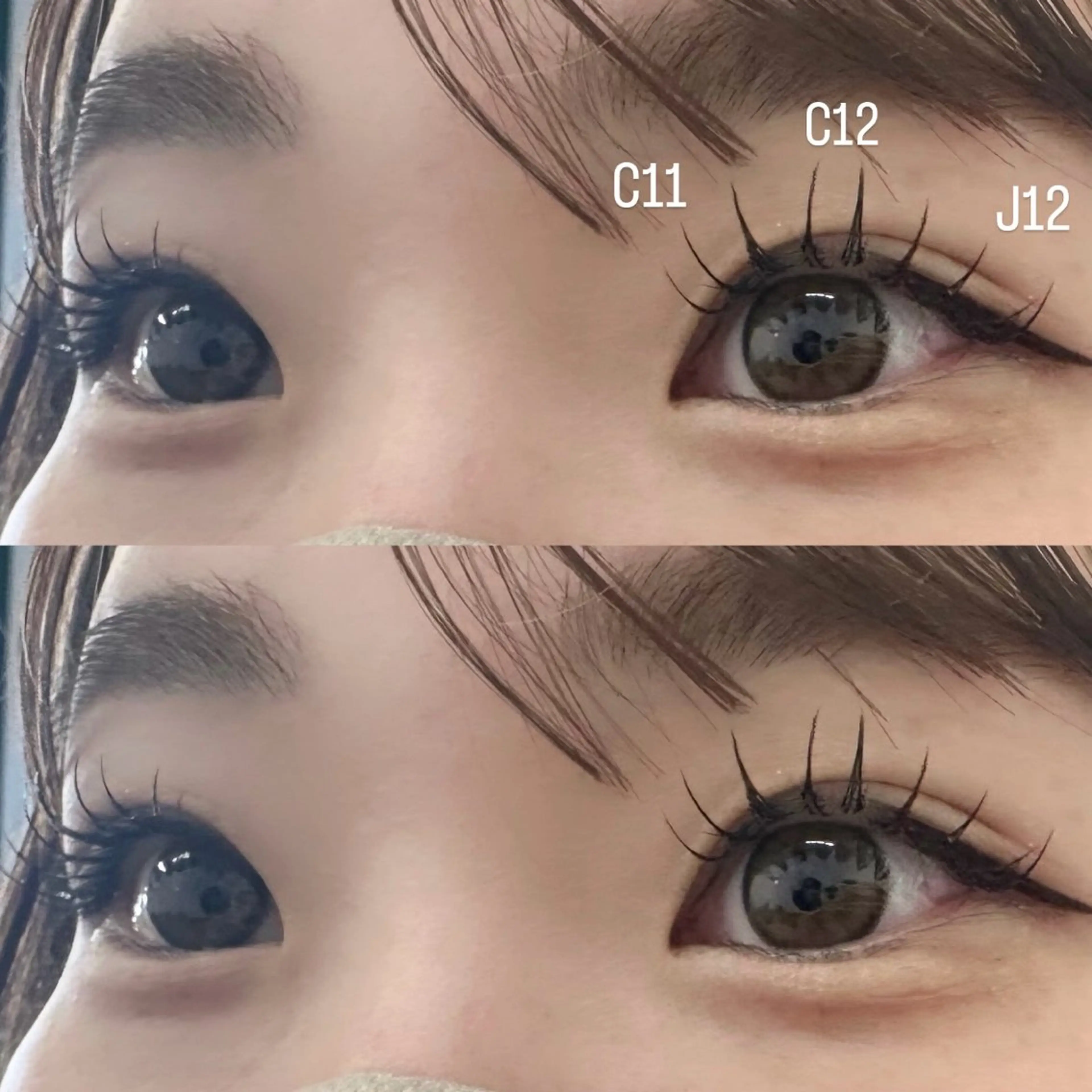 12/26まで限定🎀🤍フラットラッシュ♡100~120本   (120本→¥5,000)の写真