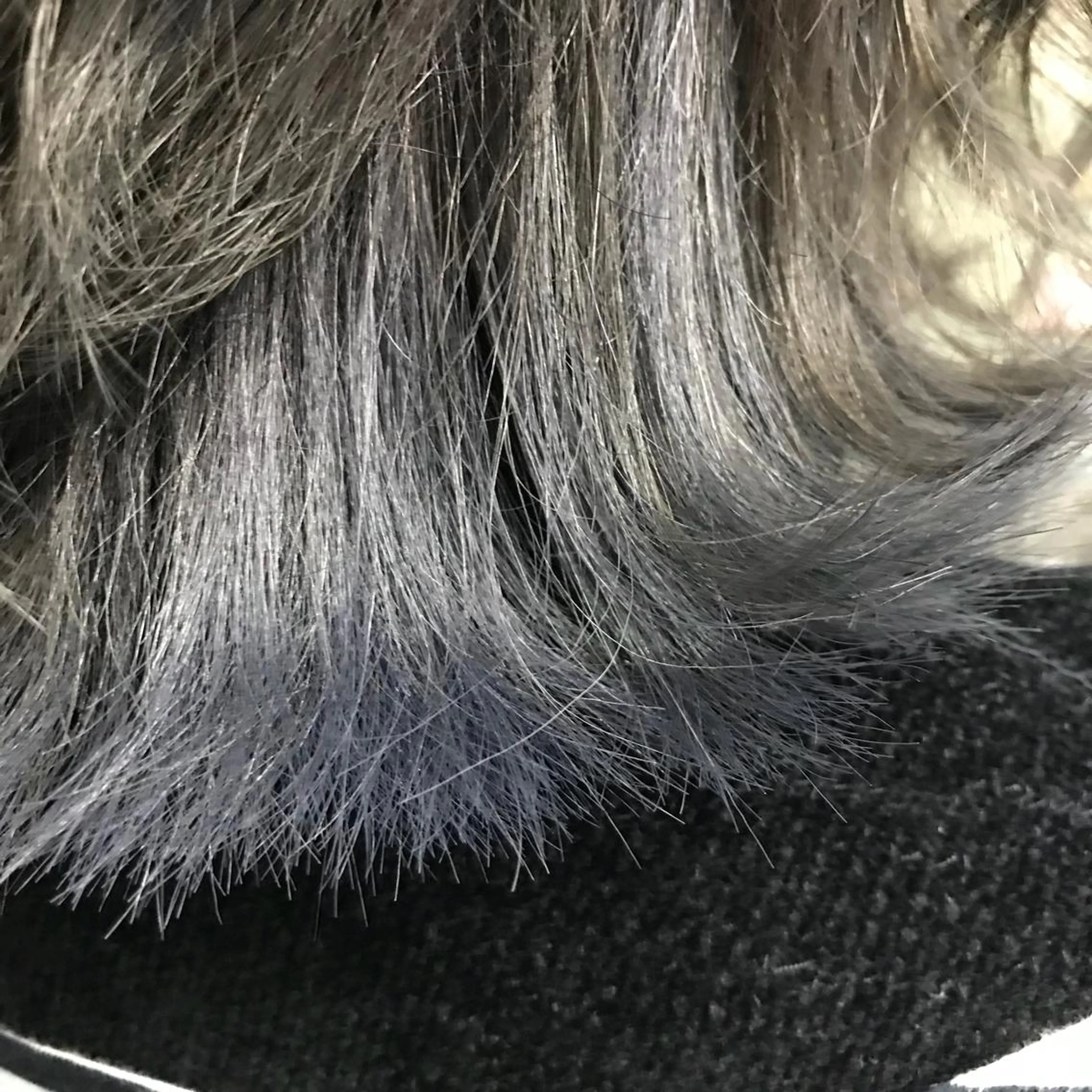 ショート カラー アッシュ ブルーカラー ブルーアッシュ インナーカラー chouette/ 根本優希のヘアスタイル