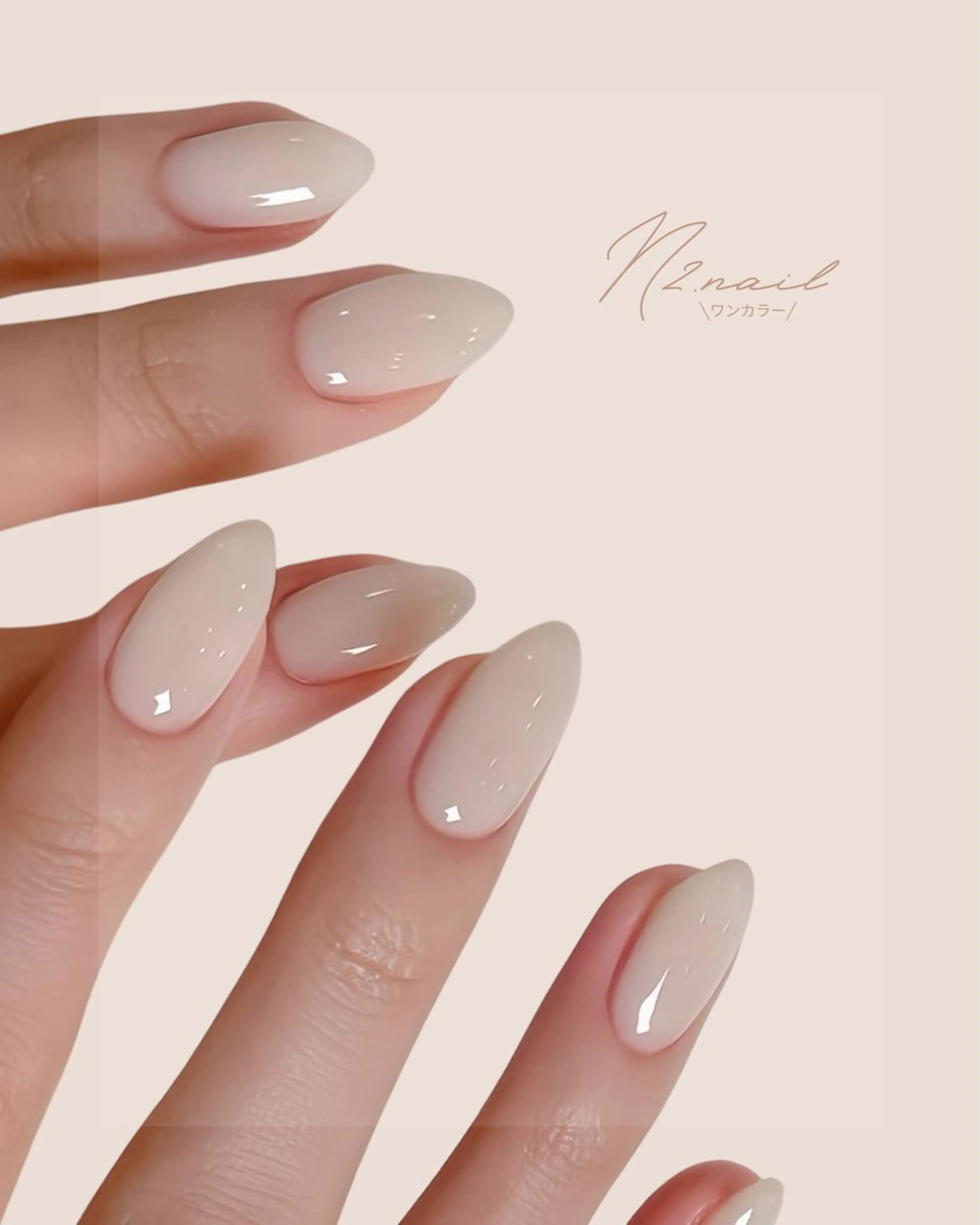 M-101 ワンカラーの写真