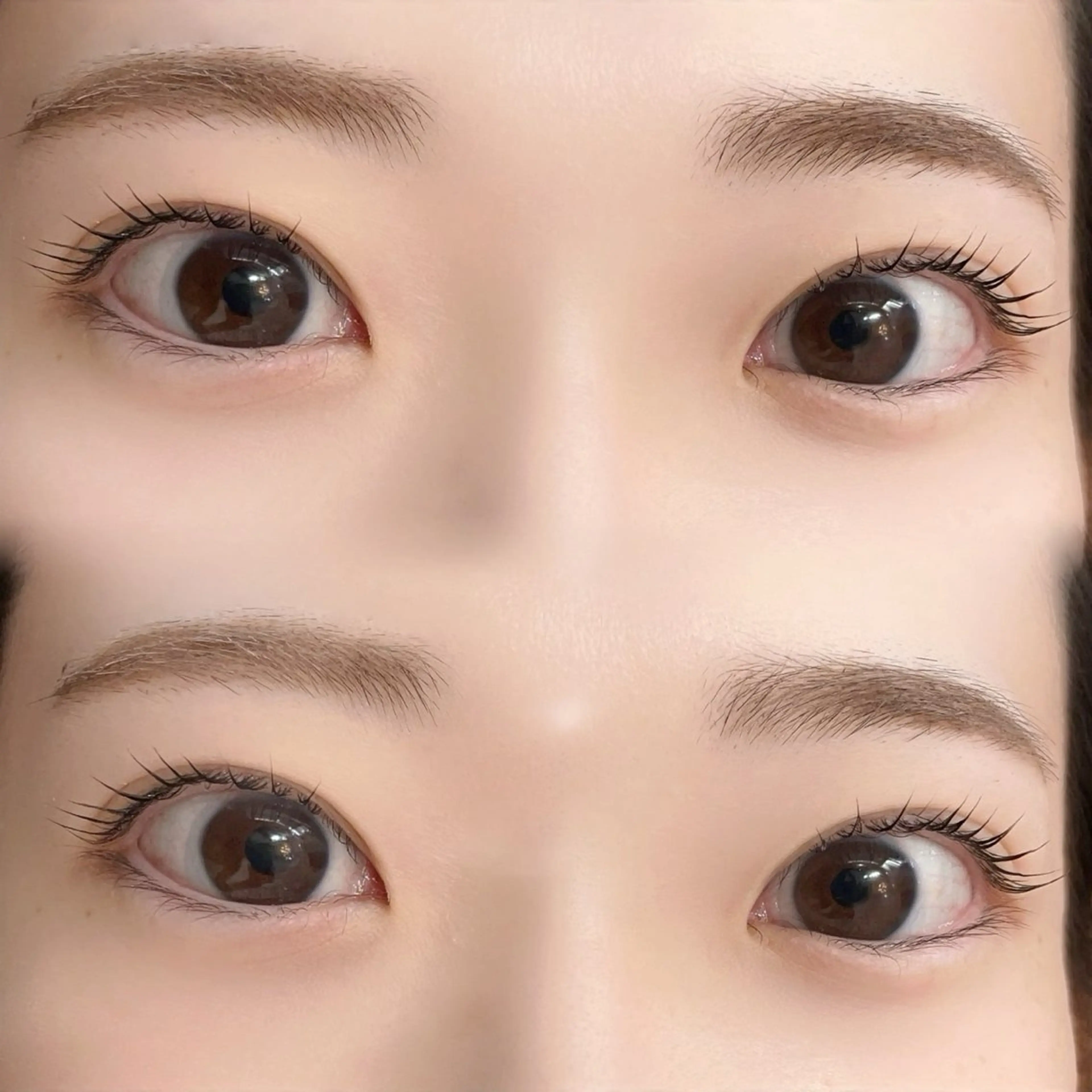 マツエク・マツパ マツパ REGINA (レジーナ)所属・REGINA ネイルまつげエステの眉毛・アイブロウイメージ