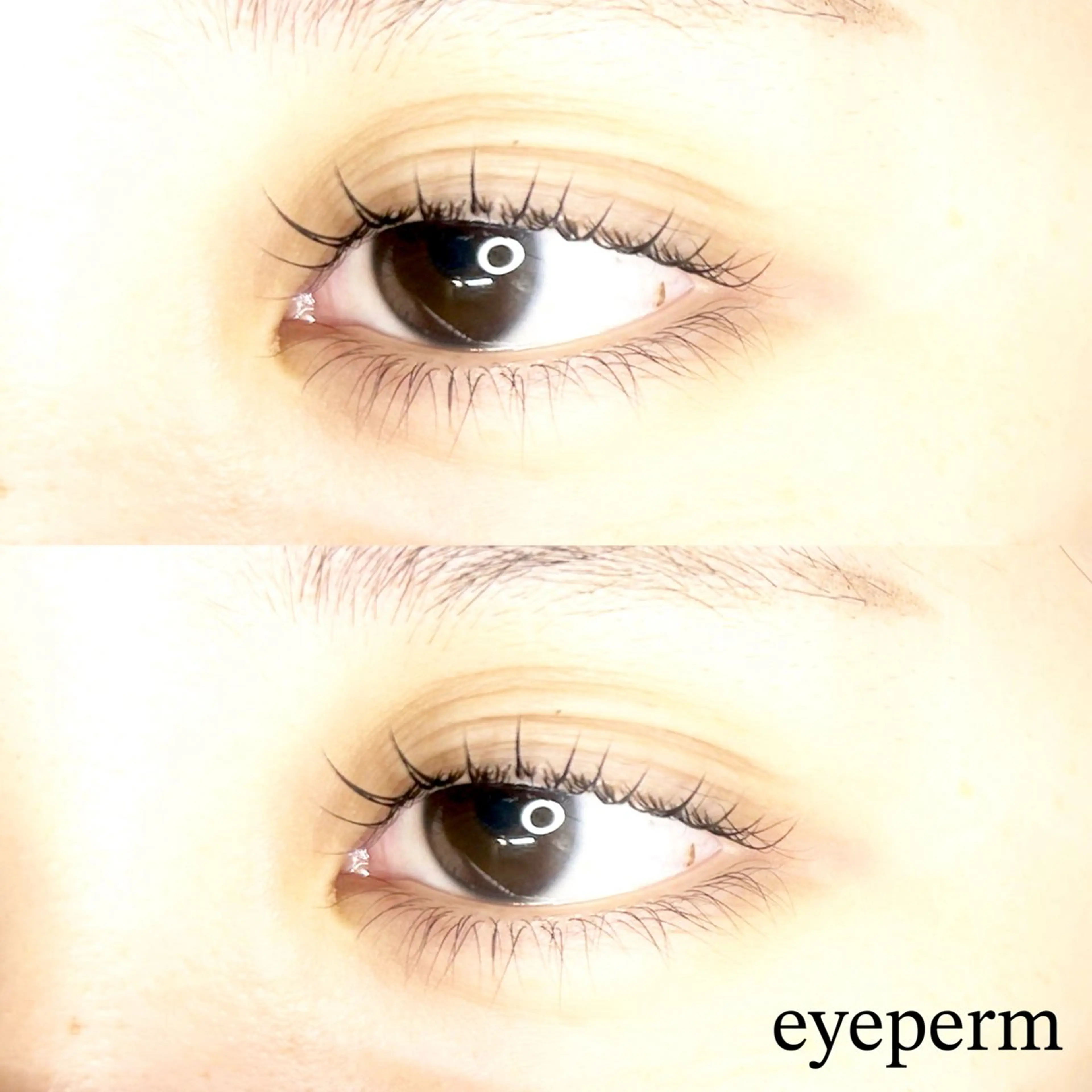 ✨次世代まつ毛パーマ✨(ヘッドマッサージ付)の写真