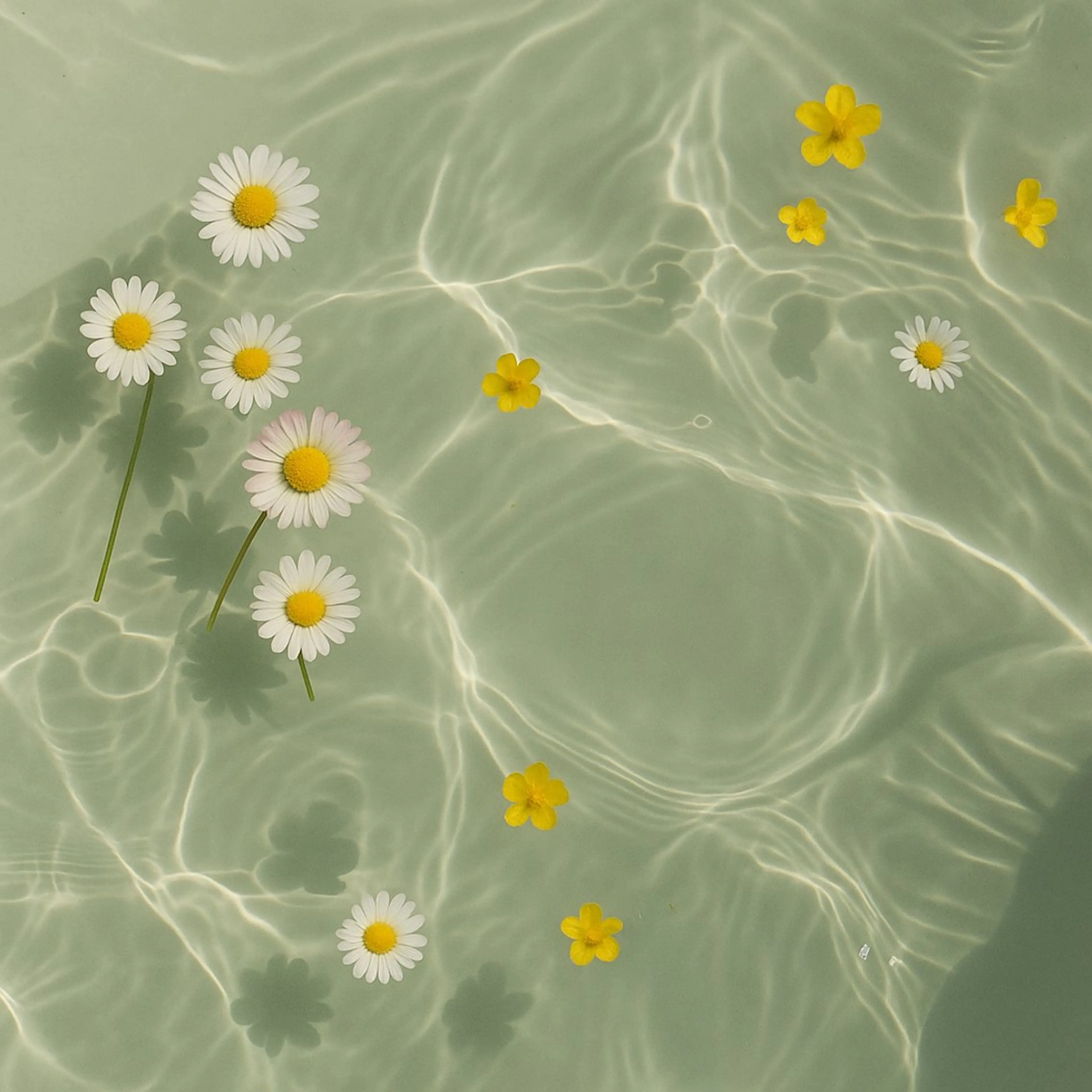 その他 🦋MaaZlash 南流山FUKA🤍のマツエク・マツパデザイン
