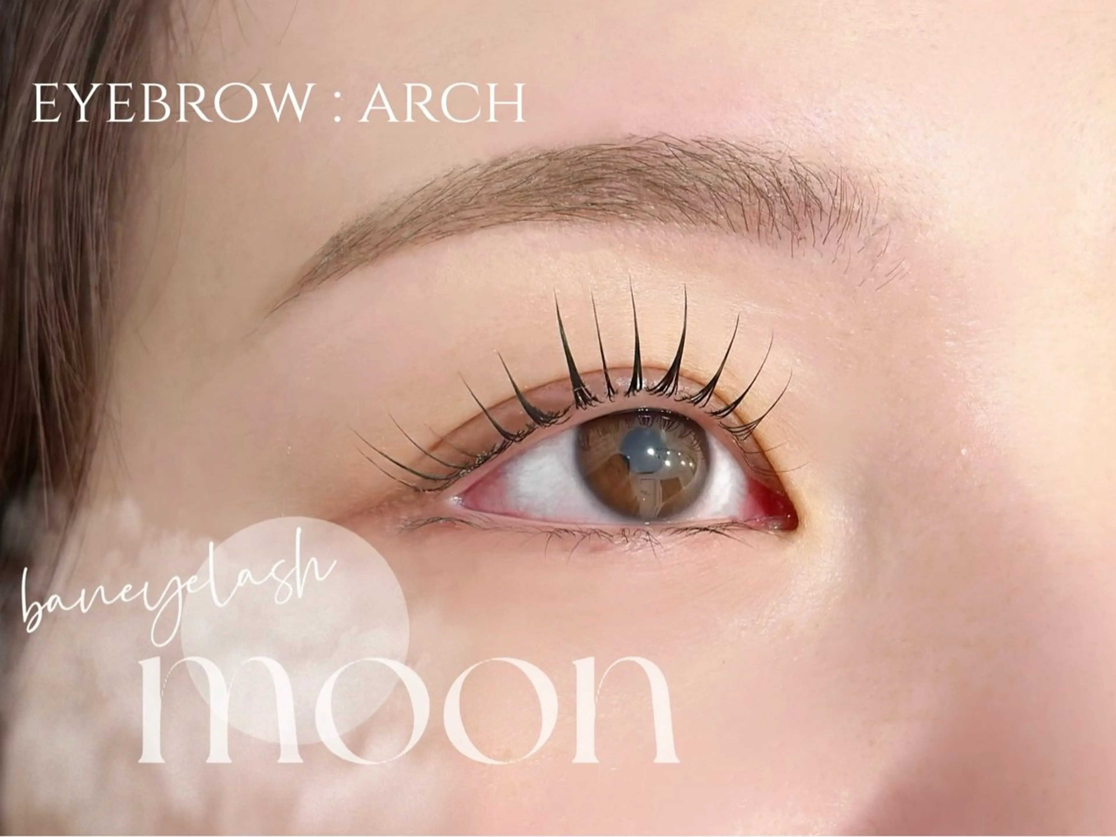 11/2限定🤍上まつ毛パーマ🤍トリートメント仕上げつきの写真