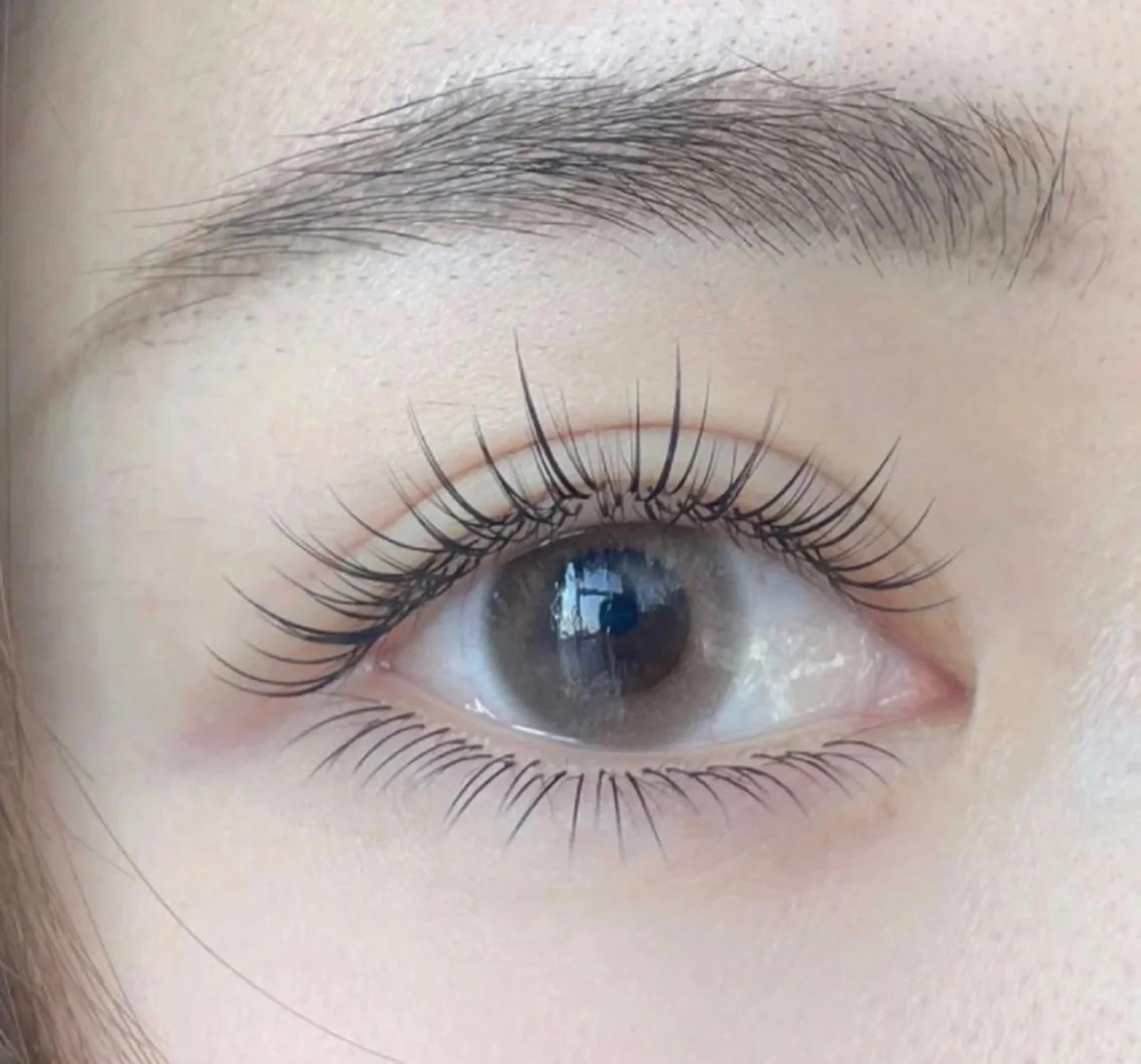 マツエク・マツパ マツエク Arana池袋 Ayumi🦋のマツエク・マツパデザイン