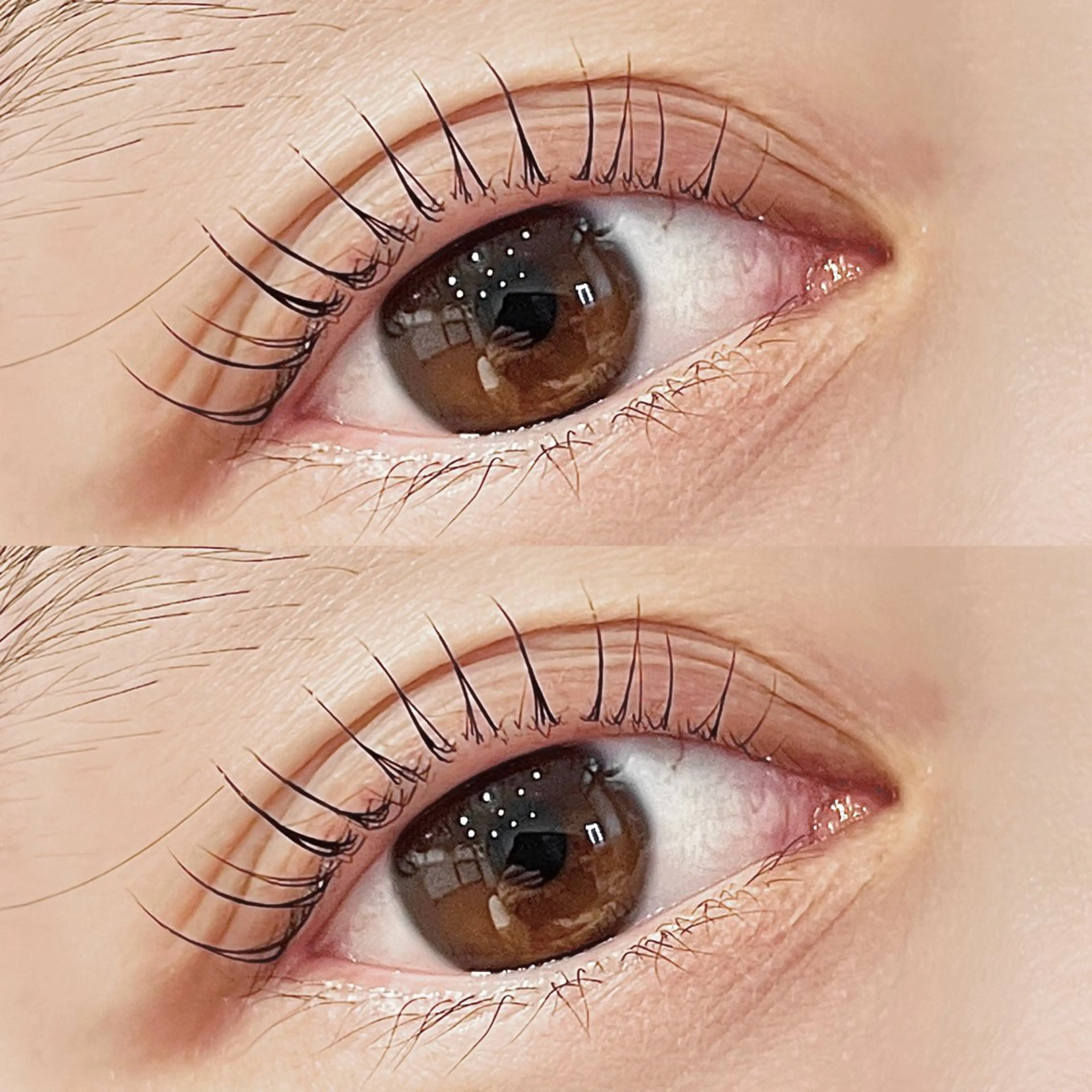 選べるパーマ🤍パリジェンヌor ラッシュリフトの写真