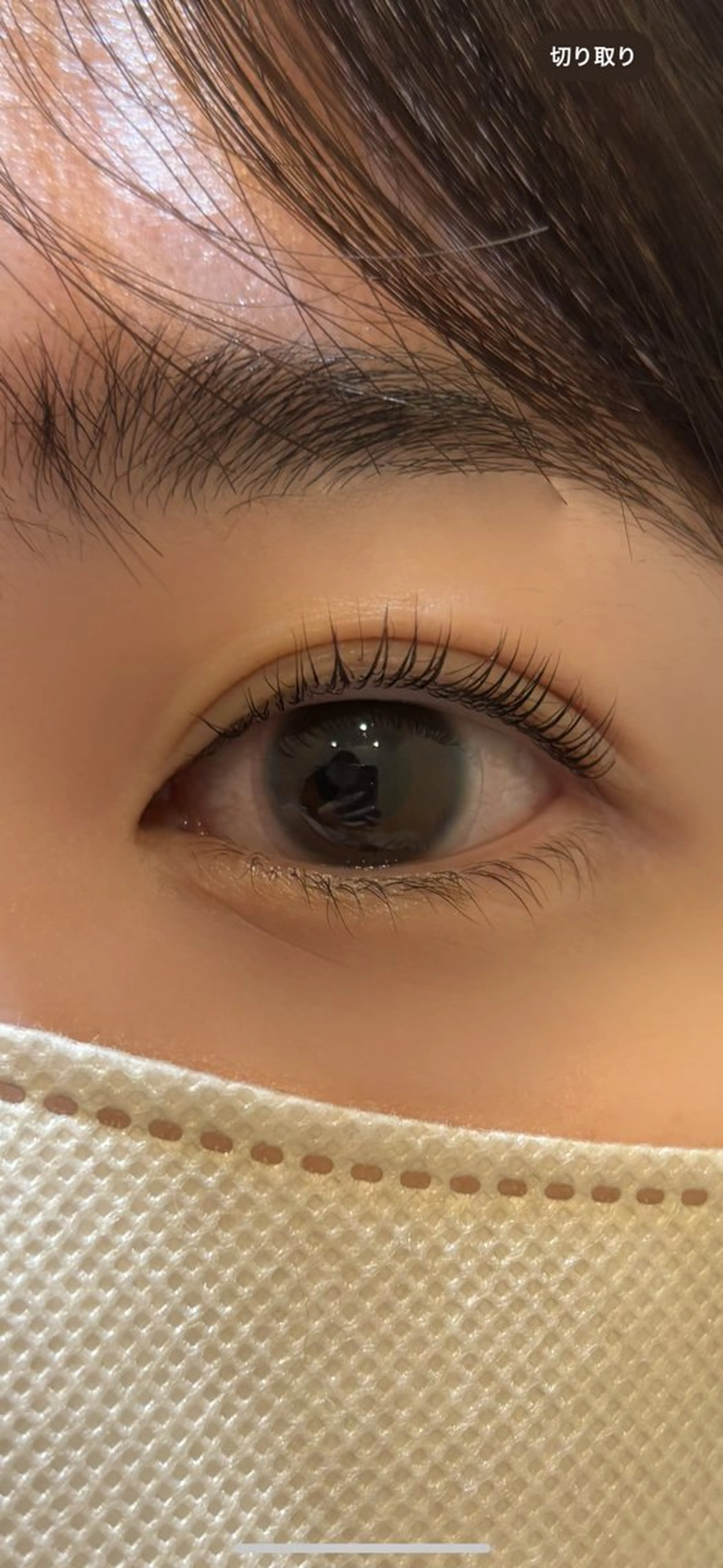 マツエク・マツパ 黒田 咲弥の眉毛・アイブロウイメージ