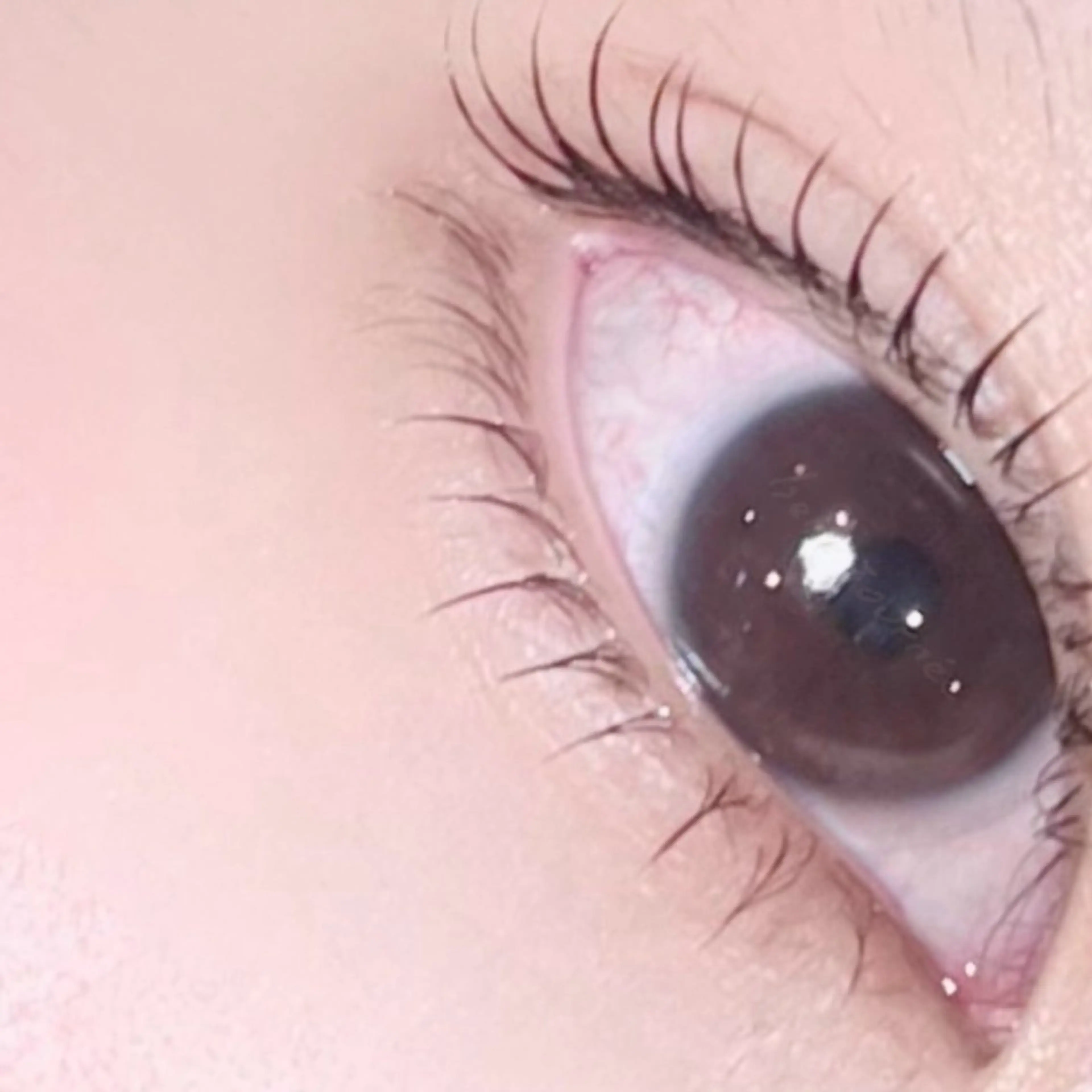 〈新規〉オーダーメイド〔上下〕まつげパーマorパリジェンヌ“美容液束感仕上げ“🎀すっぴんでも盛れるまつげに🎀の写真