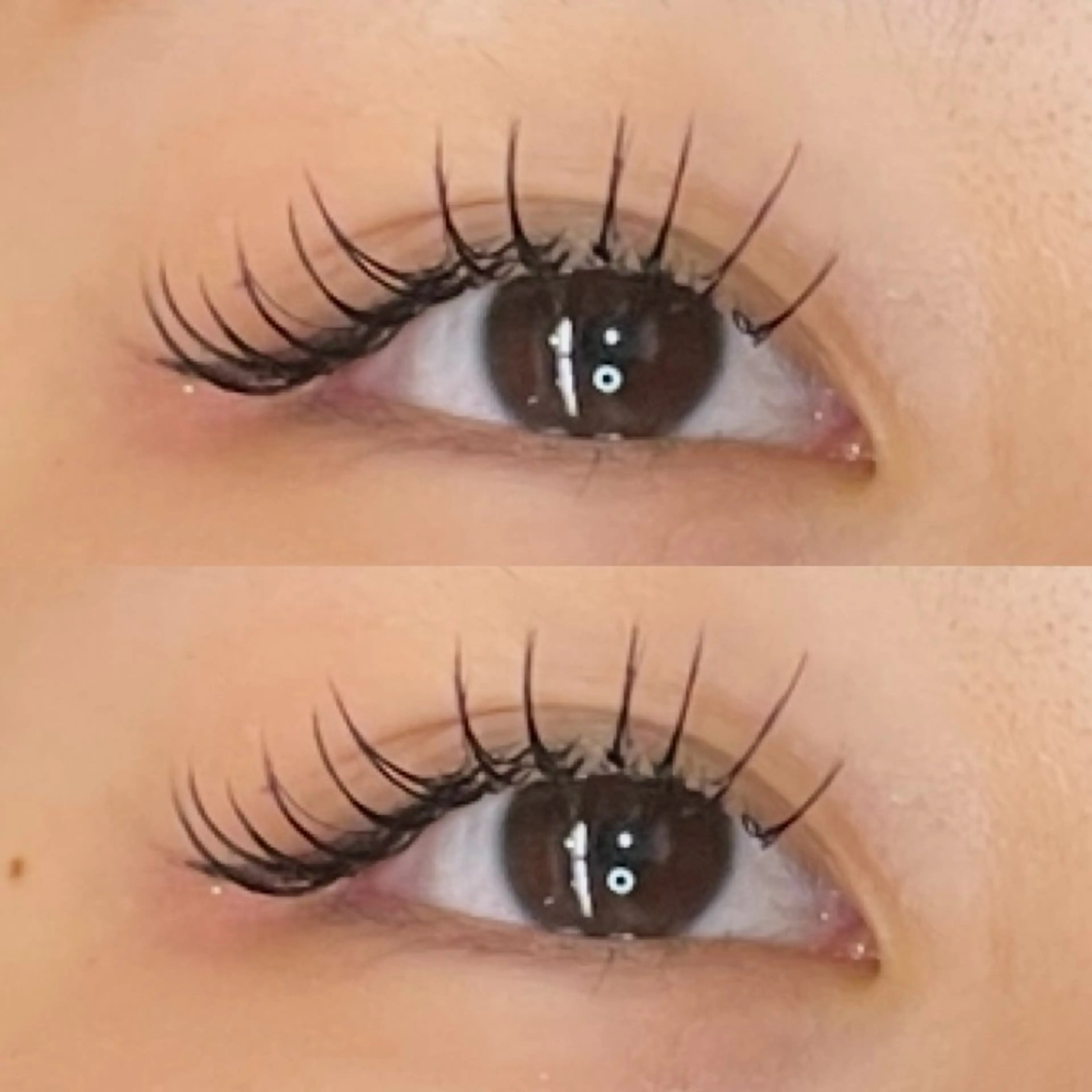 マツエク・マツパ Cカール マツエク Blossom✩.* Matsuki🍒のマツエク・マツパデザイン