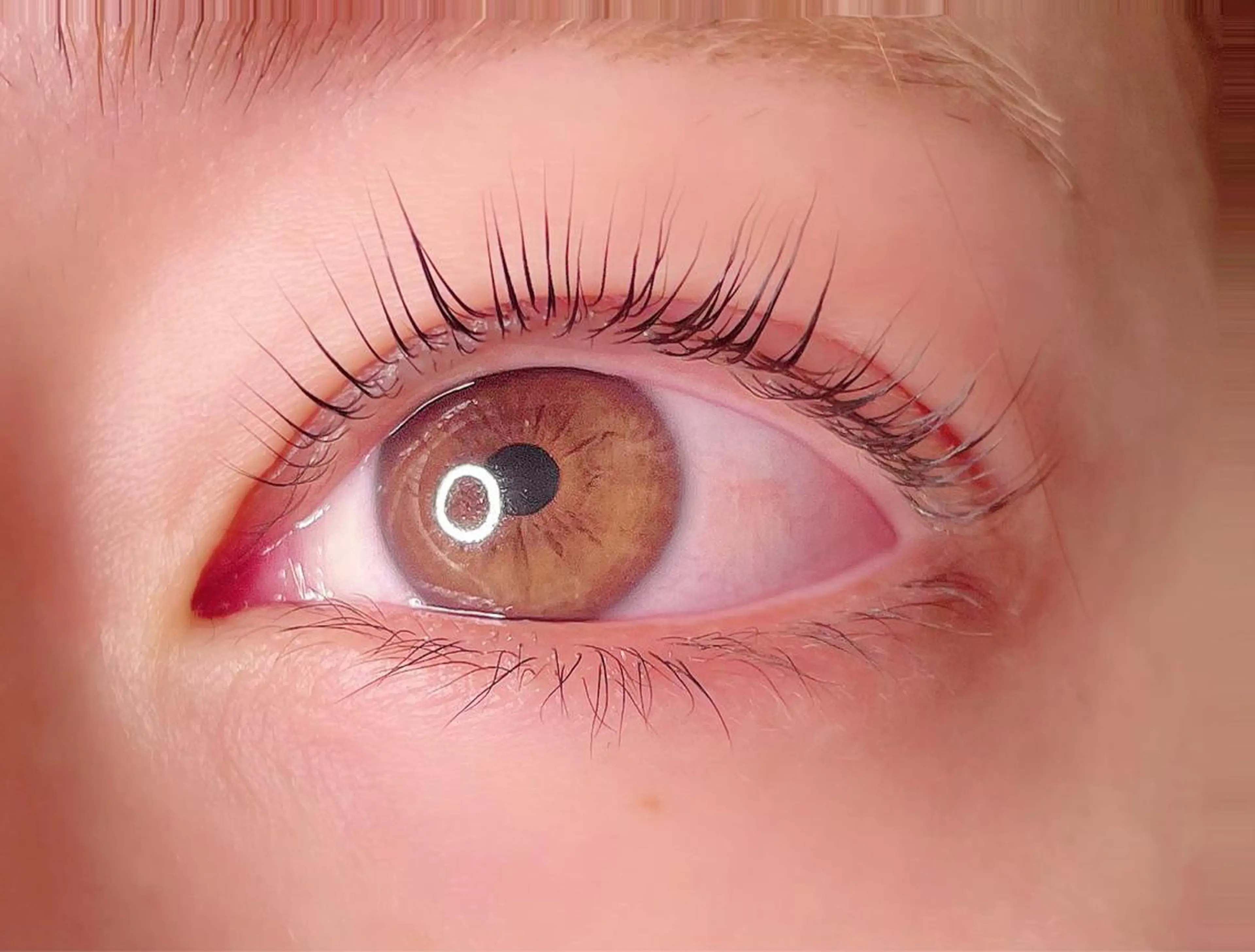 マツエク・マツパ パリジェンヌラッシュリフト Eyelash  Salon FAXIA大宮店所属・FAXIA Mihoの眉毛・アイブロウイメージ