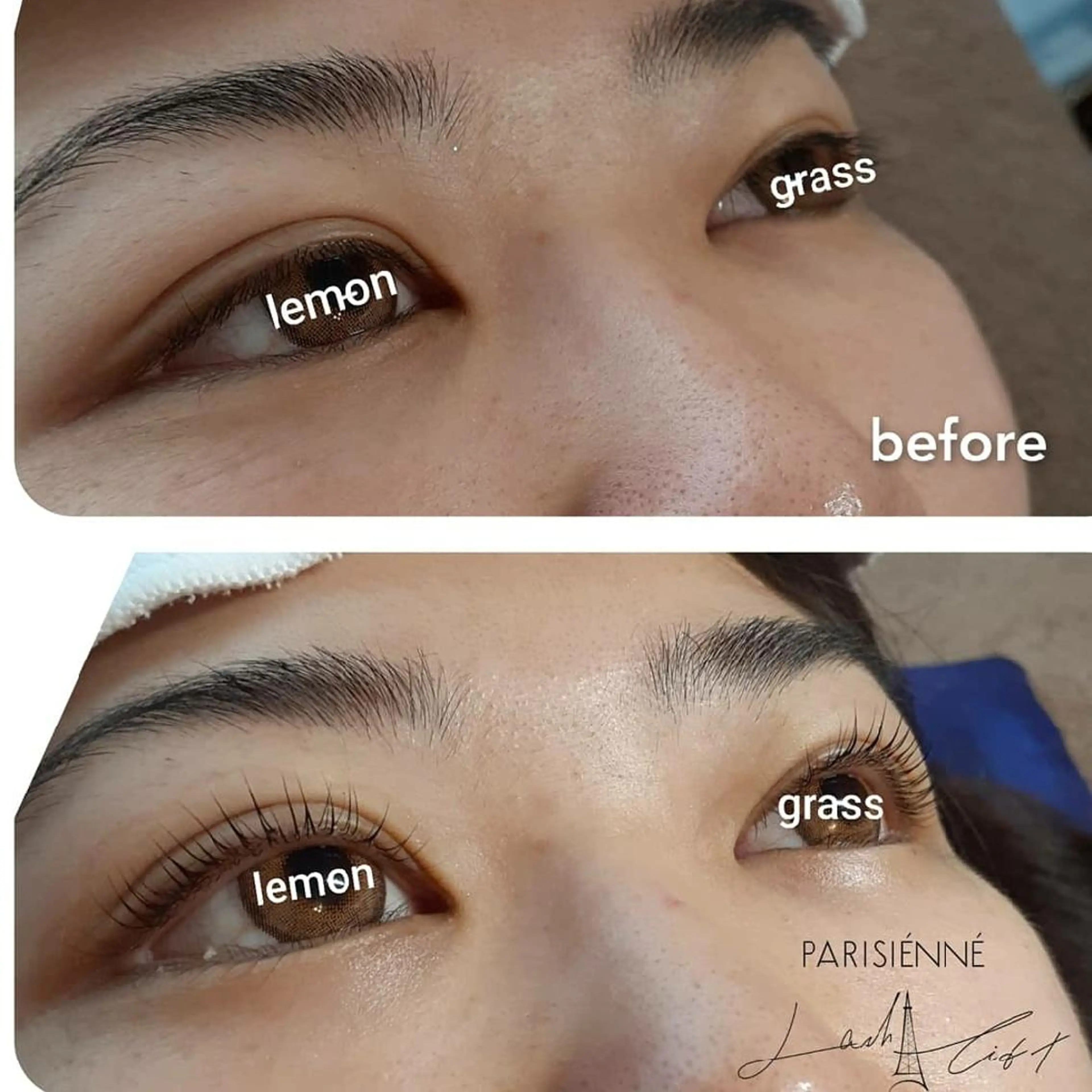 マツエク・マツパ パリジェンヌラッシュリフト Lemon grassのマツエク・マツパデザイン