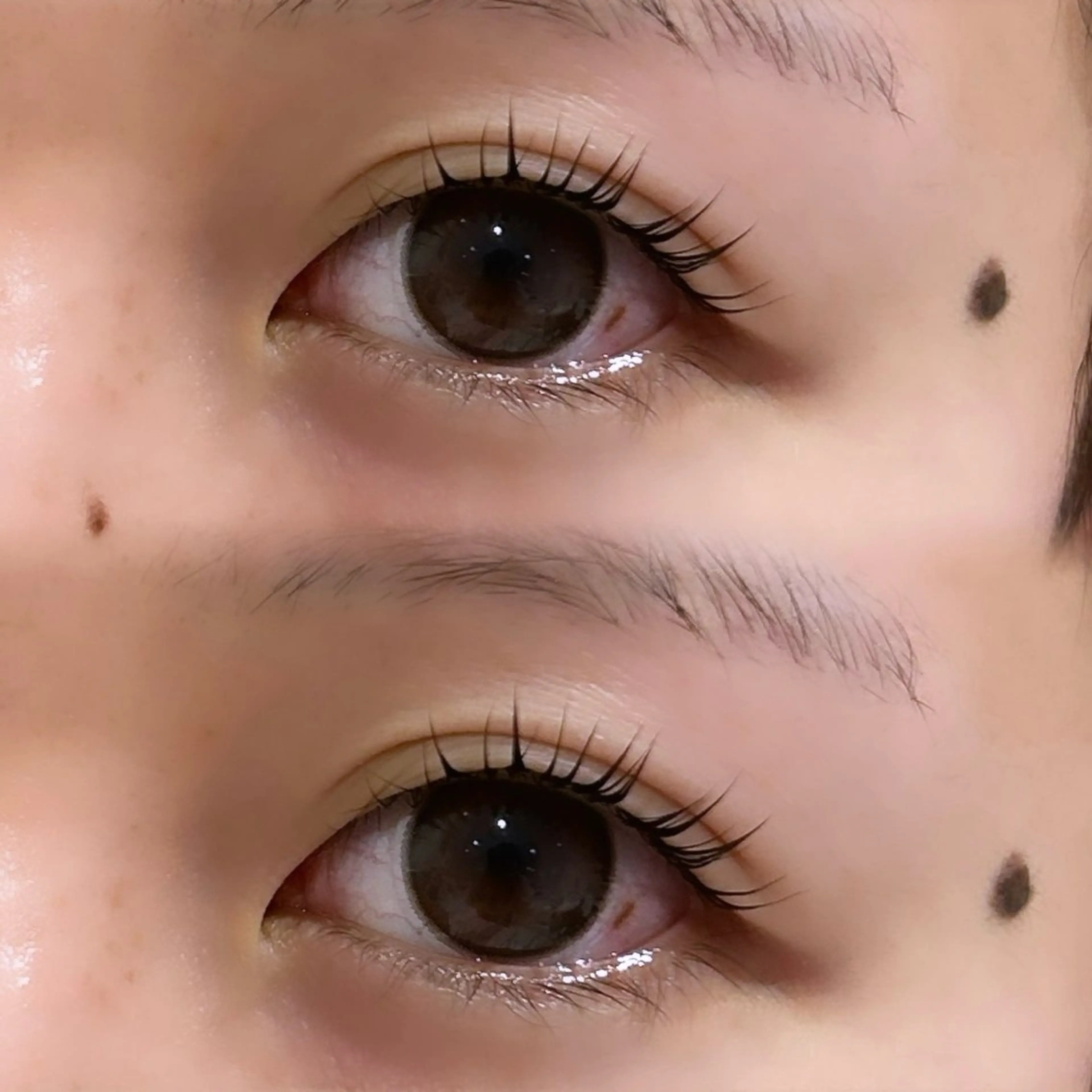 マツエク・マツパ パリジェンヌラッシュリフト salon ef 青木のマツエク・マツパデザイン