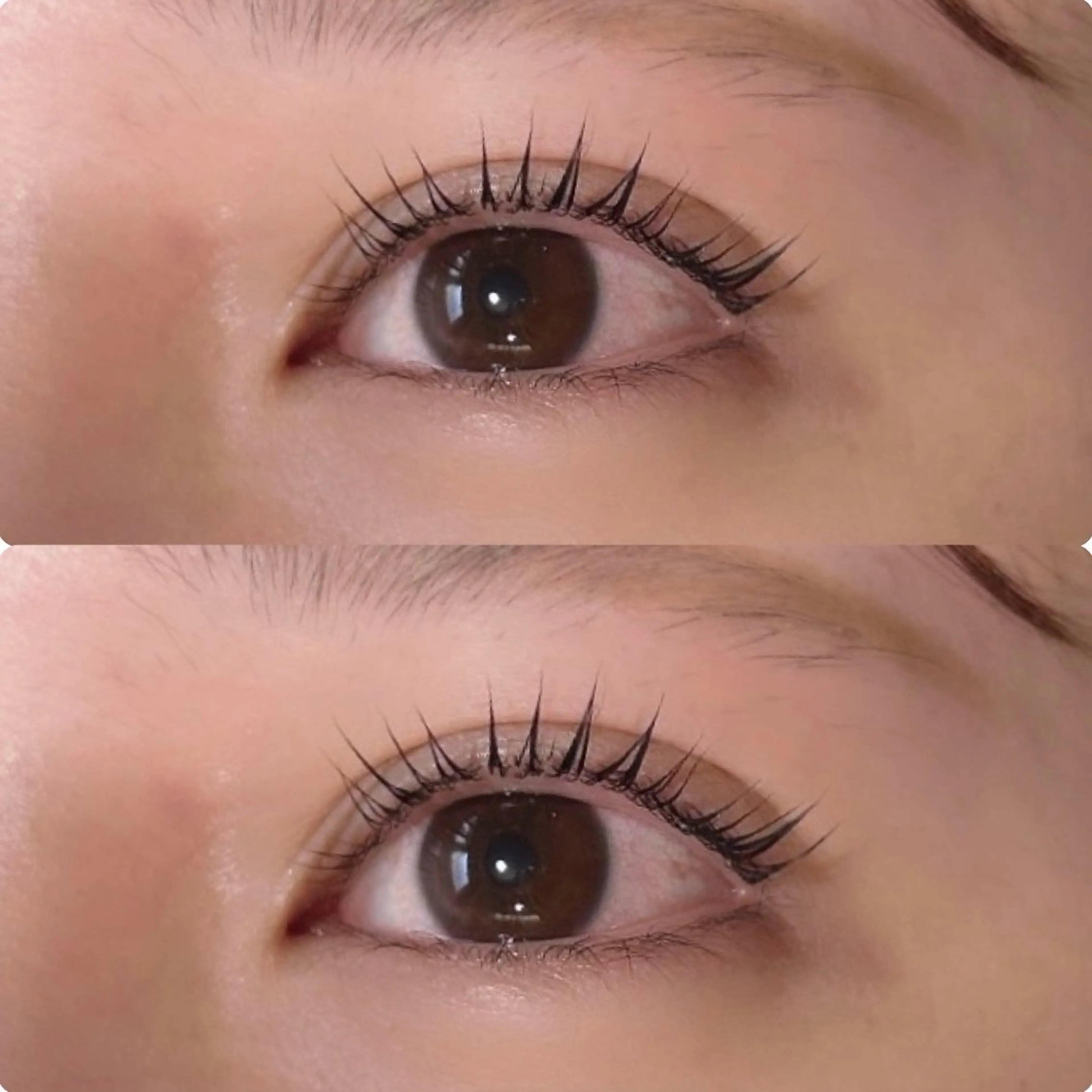 マツエク・マツパ パリジェンヌラッシュリフト マツパ hair&eye🎀 /momoKaのマツエク・マツパデザイン