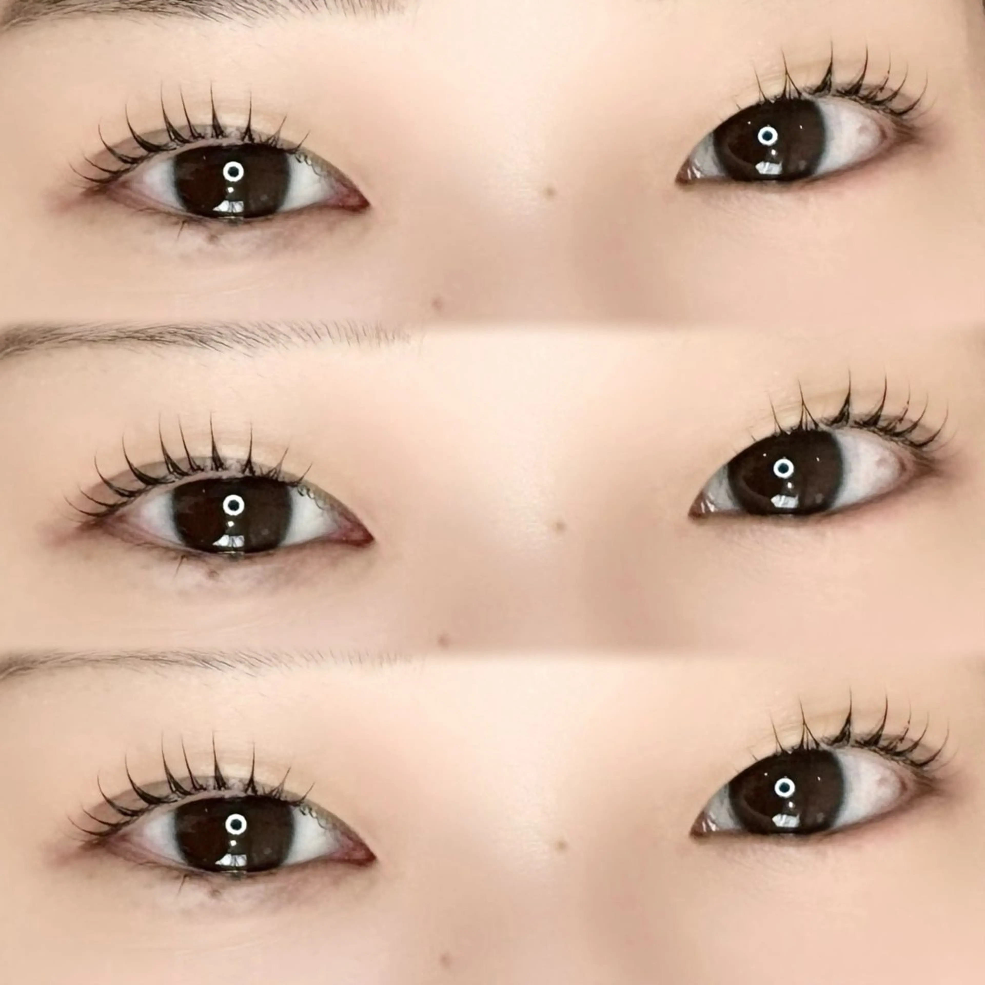 マツエク・マツパ マツパ ここな/暖色カラー 🧡まつげパーマ🌼のヘアスタイル