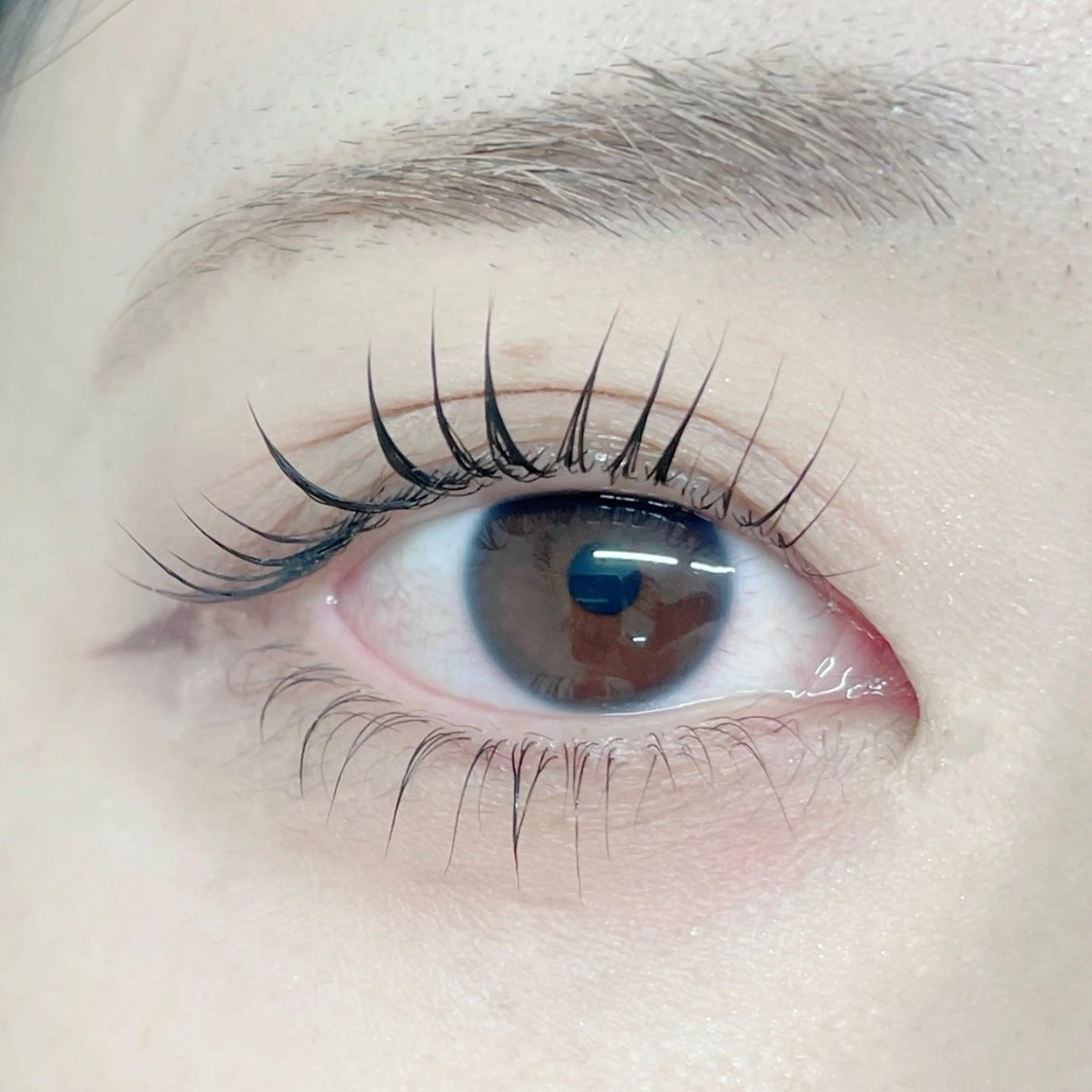 マツエク・マツパ GO TODAY シェアサロン 銀座Eclara店所属・mihiro 銀座まつぱﾏﾂｴｸ眉のマツエク・マツパデザイン