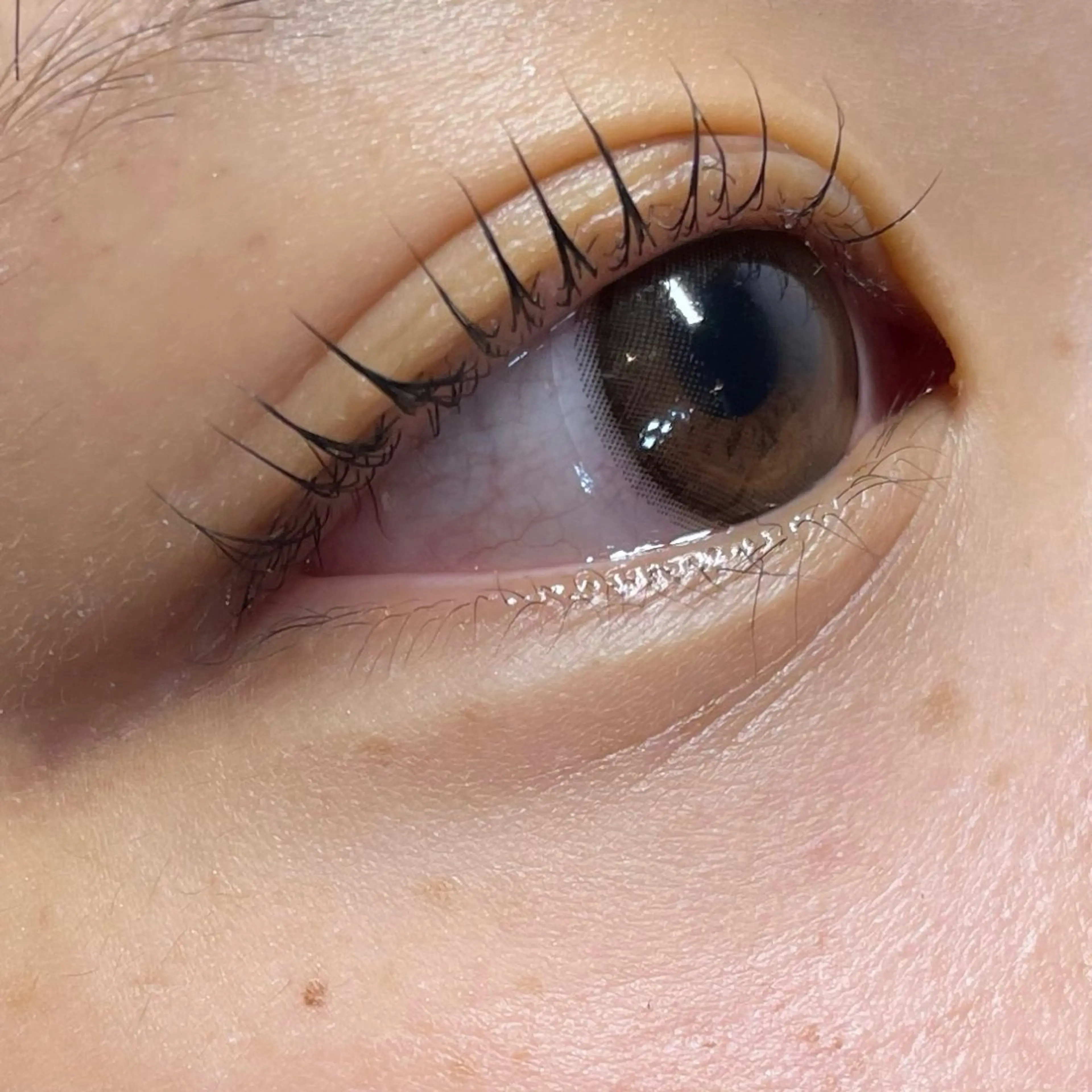 マツエク・マツパ One'Ness所属・ALL by One' Nessのマツエク・マツパデザイン