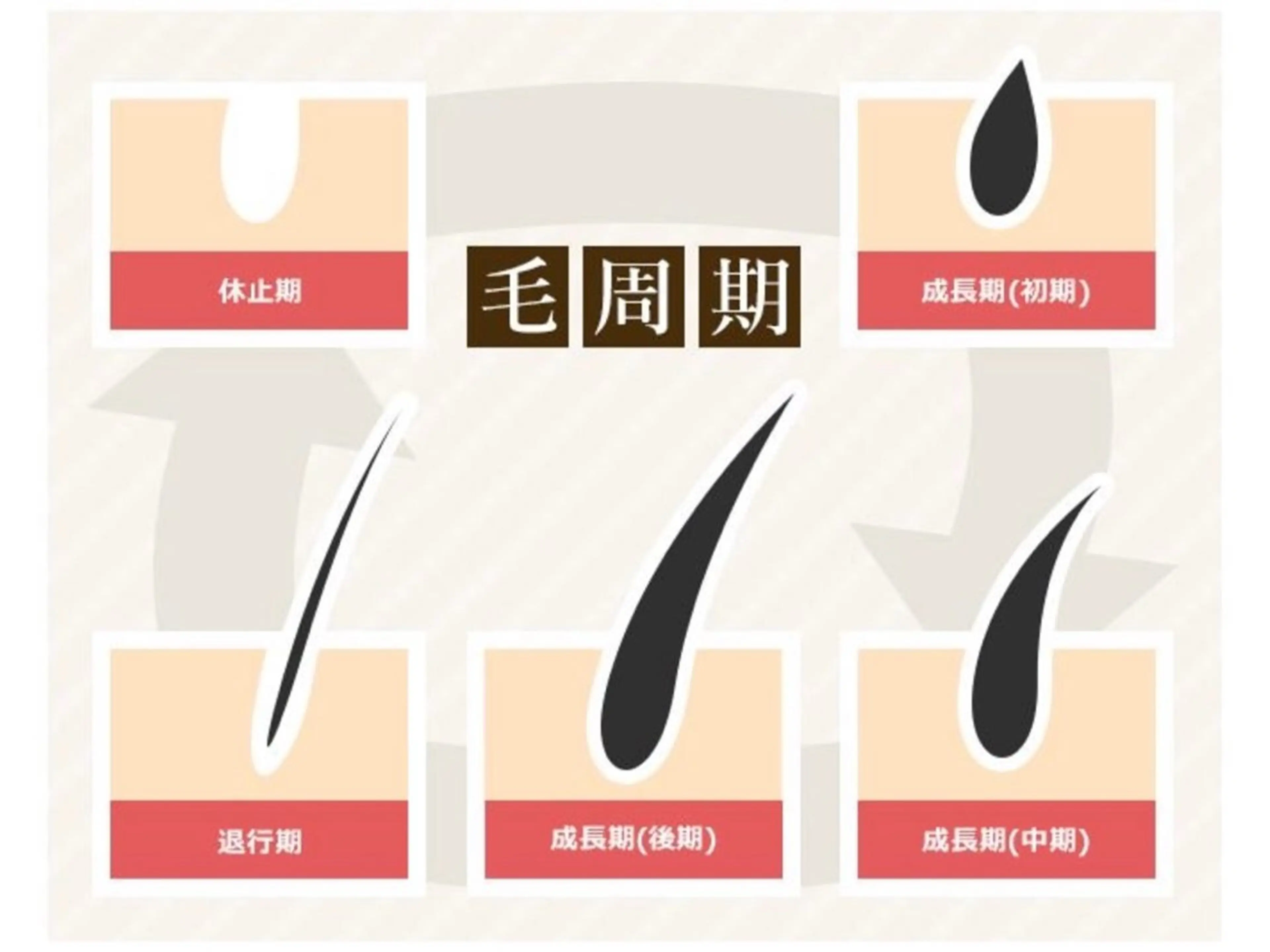 マツエク・マツパ マツエク 【パリジェンヌ&マツエク専門店】Lucky U 新小岩店所属・新小岩パリジェンヌ マツエク専門店のその他イメージ